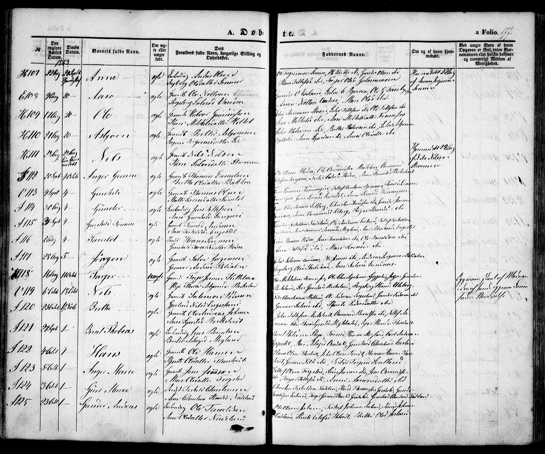 Evje sokneprestkontor, AV/SAK-1111-0008/F/Fa/Faa/L0005: Parish register (official) no. A 5, 1843-1865, p. 177