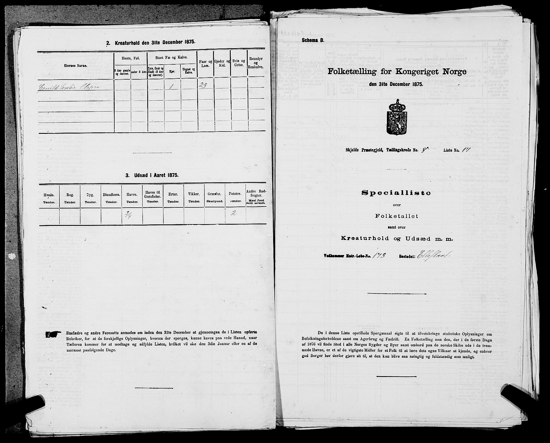 SAST, 1875 census for 1154P Skjold, 1875, p. 745