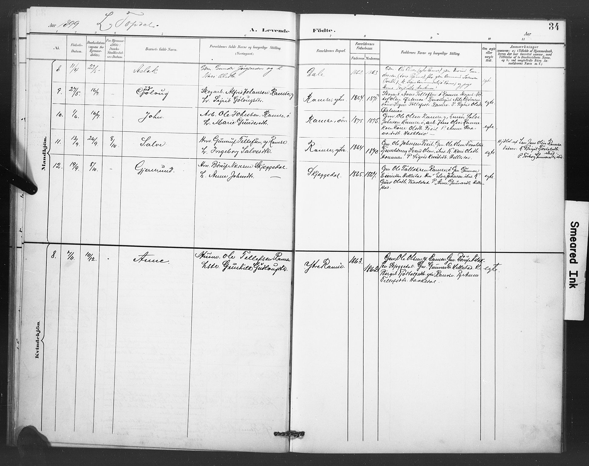 Åmli sokneprestkontor, AV/SAK-1111-0050/F/Fa/Fac/L0011: Parish register (official) no. A 11, 1898-1899, p. 34