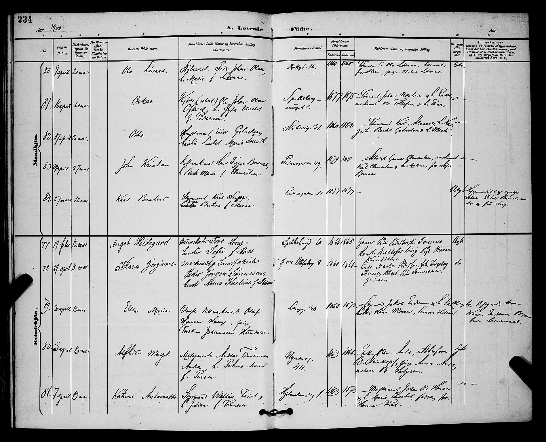 St. Johannes sokneprestkontor, AV/SAST-A-101814/001/30/30BB/L0003: Parish register (copy) no. B 3, 1893-1900, p. 234