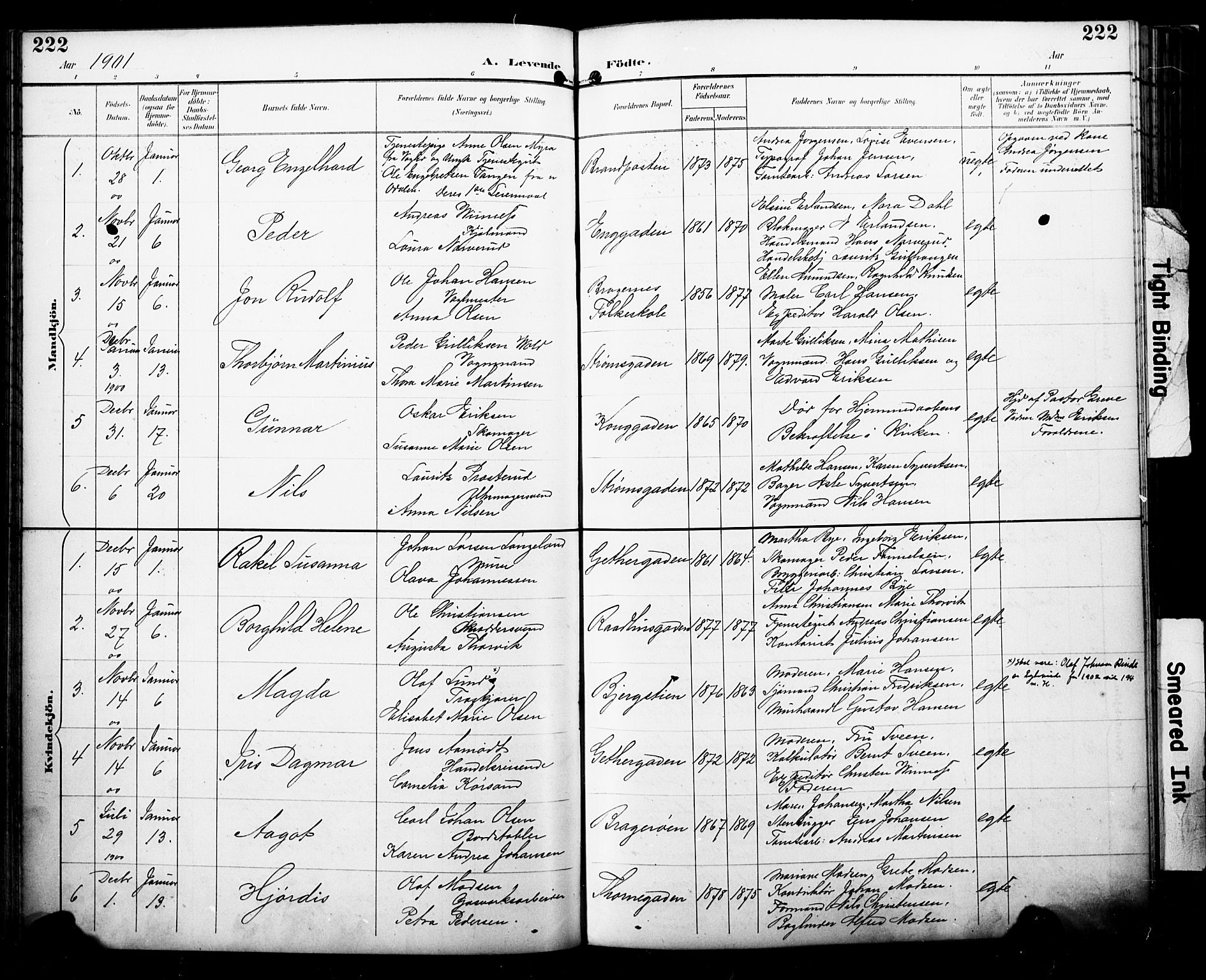 Bragernes kirkebøker, AV/SAKO-A-6/F/Fb/L0008: Parish register (official) no. II 8, 1894-1902, p. 222