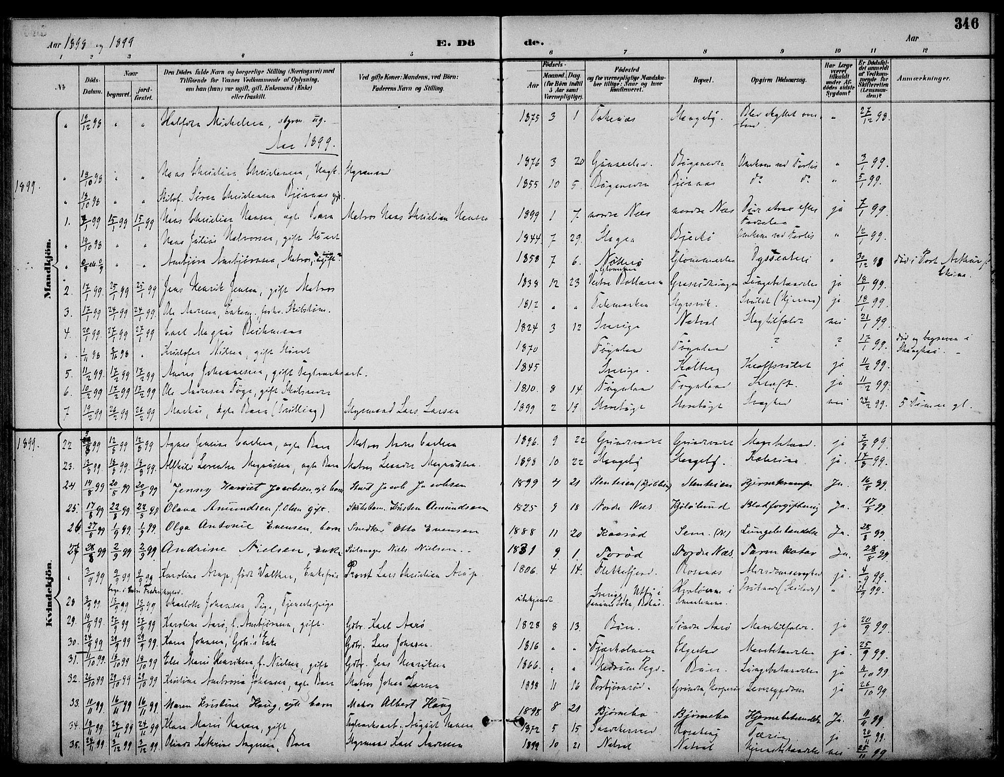 Nøtterøy kirkebøker, AV/SAKO-A-354/F/Fa/L0009: Parish register (official) no. I 9, 1894-1907, p. 346