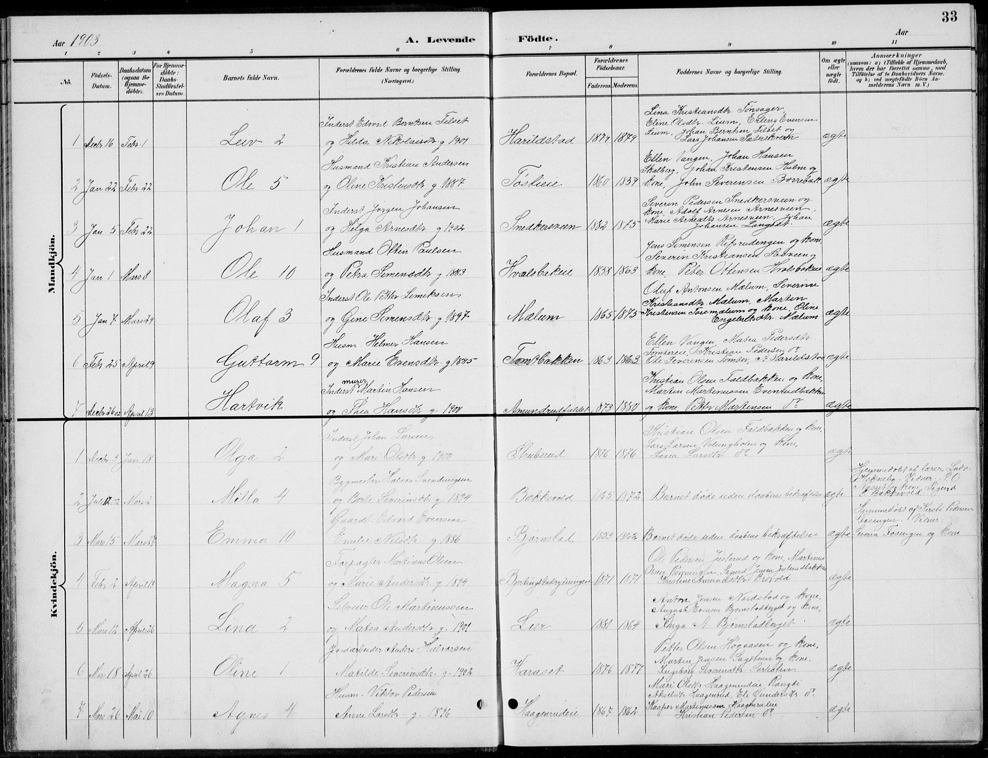 Romedal prestekontor, AV/SAH-PREST-004/L/L0013: Parish register (copy) no. 13, 1896-1937, p. 33