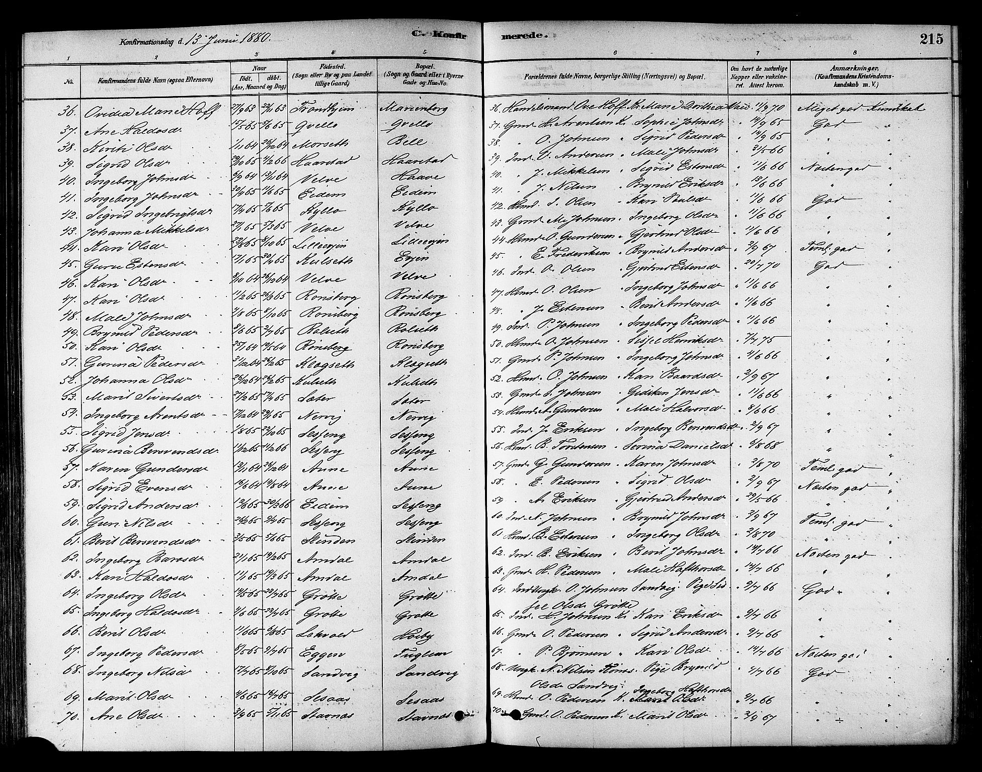 Ministerialprotokoller, klokkerbøker og fødselsregistre - Sør-Trøndelag, SAT/A-1456/695/L1148: Parish register (official) no. 695A08, 1878-1891, p. 215