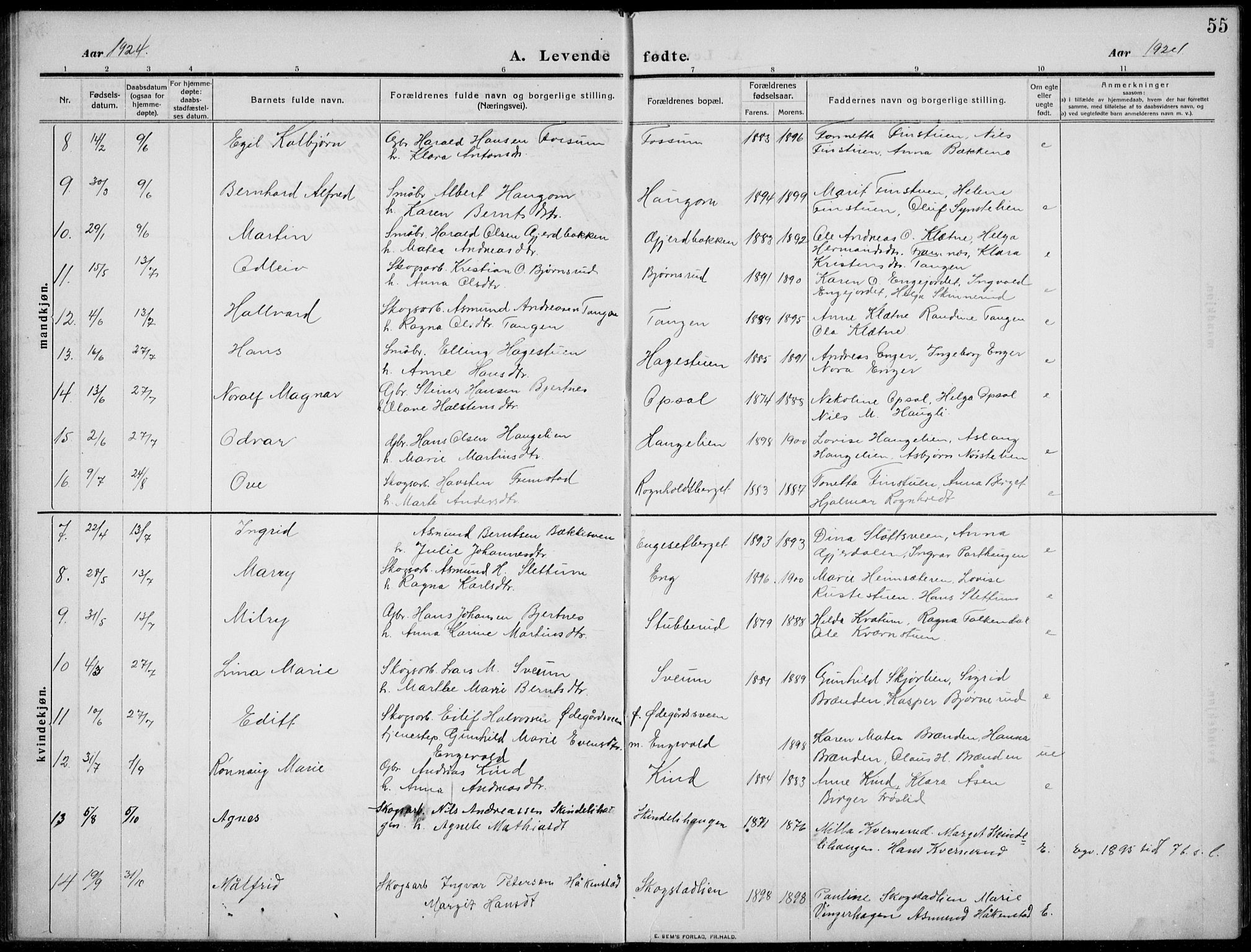 Nordre Land prestekontor, AV/SAH-PREST-124/H/Ha/Hab/L0002: Parish register (copy) no. 2, 1909-1934, p. 55