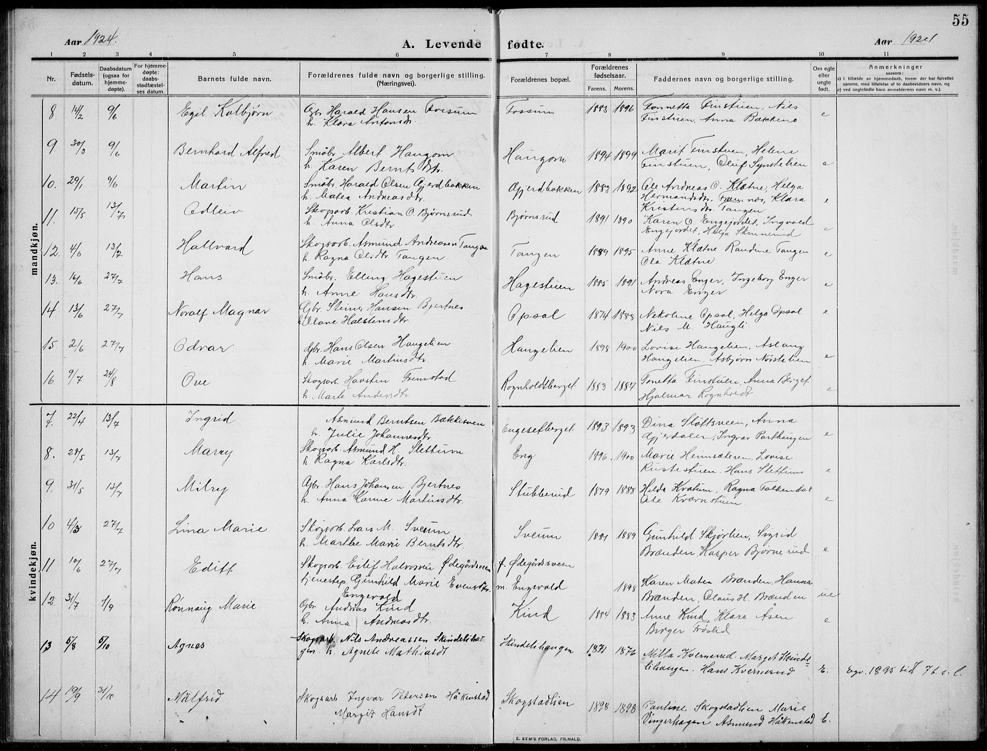 Nordre Land prestekontor, SAH/PREST-124/H/Ha/Hab/L0002: Parish register (copy) no. 2, 1909-1934, p. 55