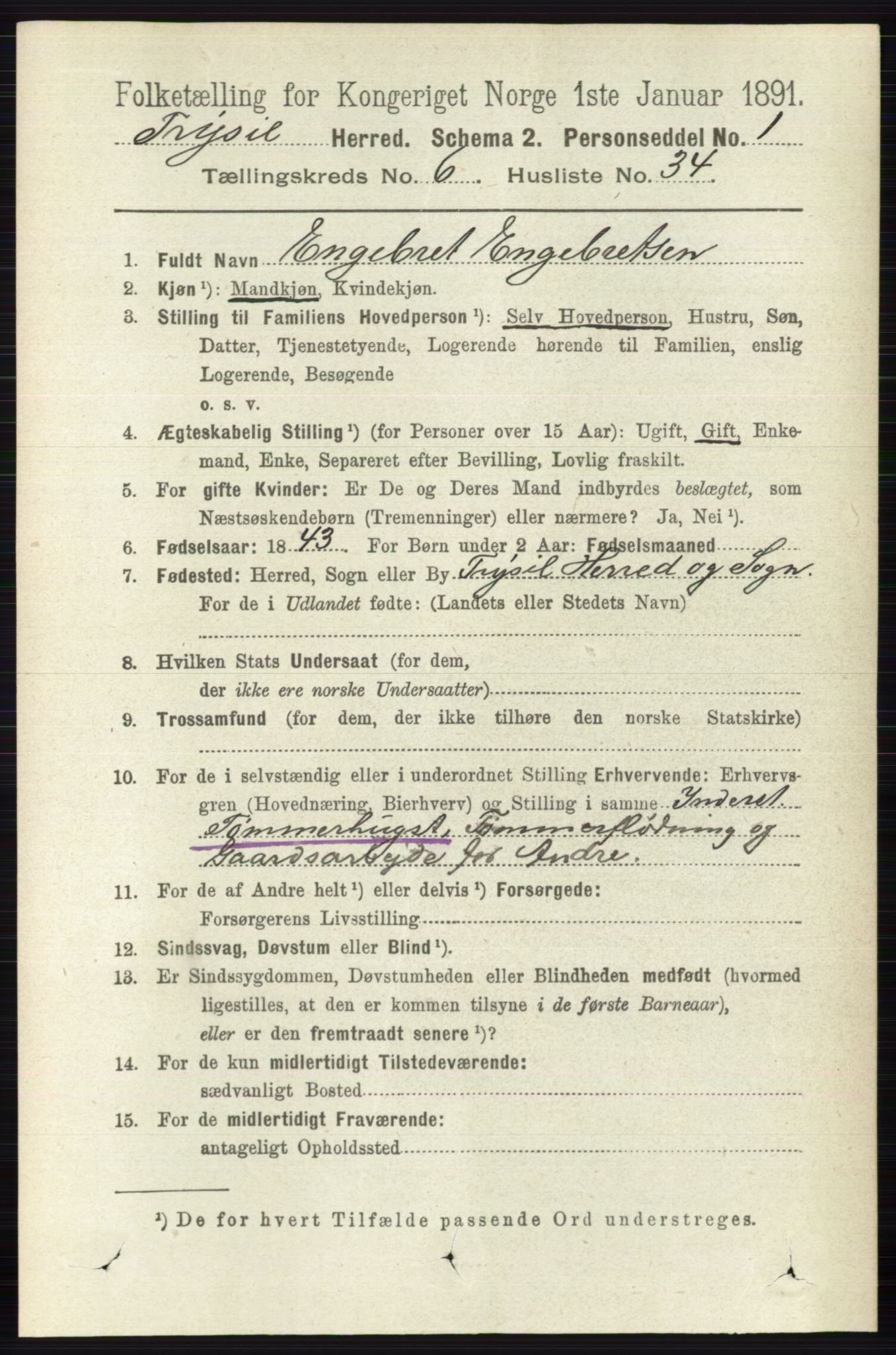 RA, 1891 census for 0428 Trysil, 1891, p. 3064