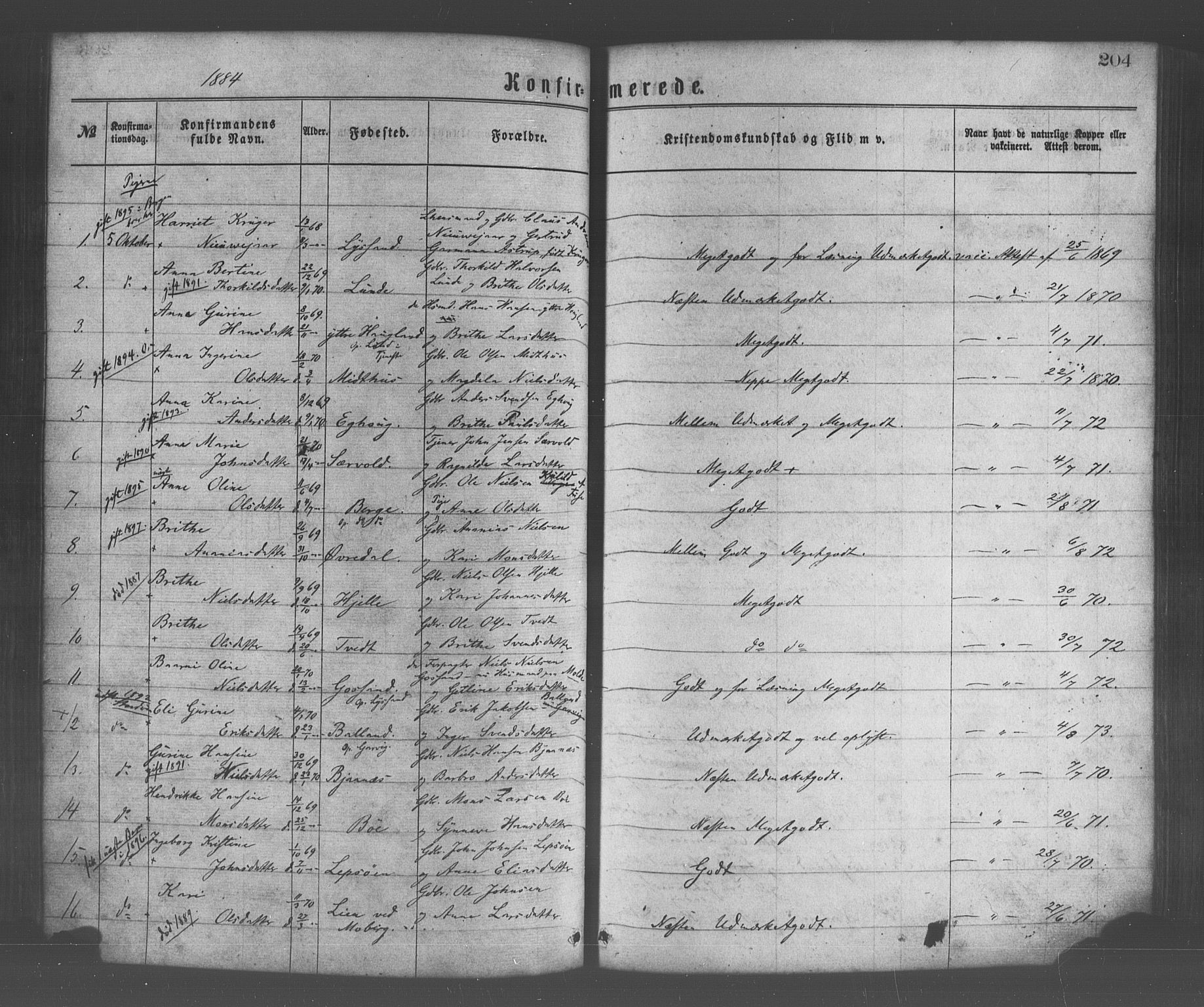 Os sokneprestembete, SAB/A-99929: Parish register (official) no. A 18, 1874-1884, p. 204
