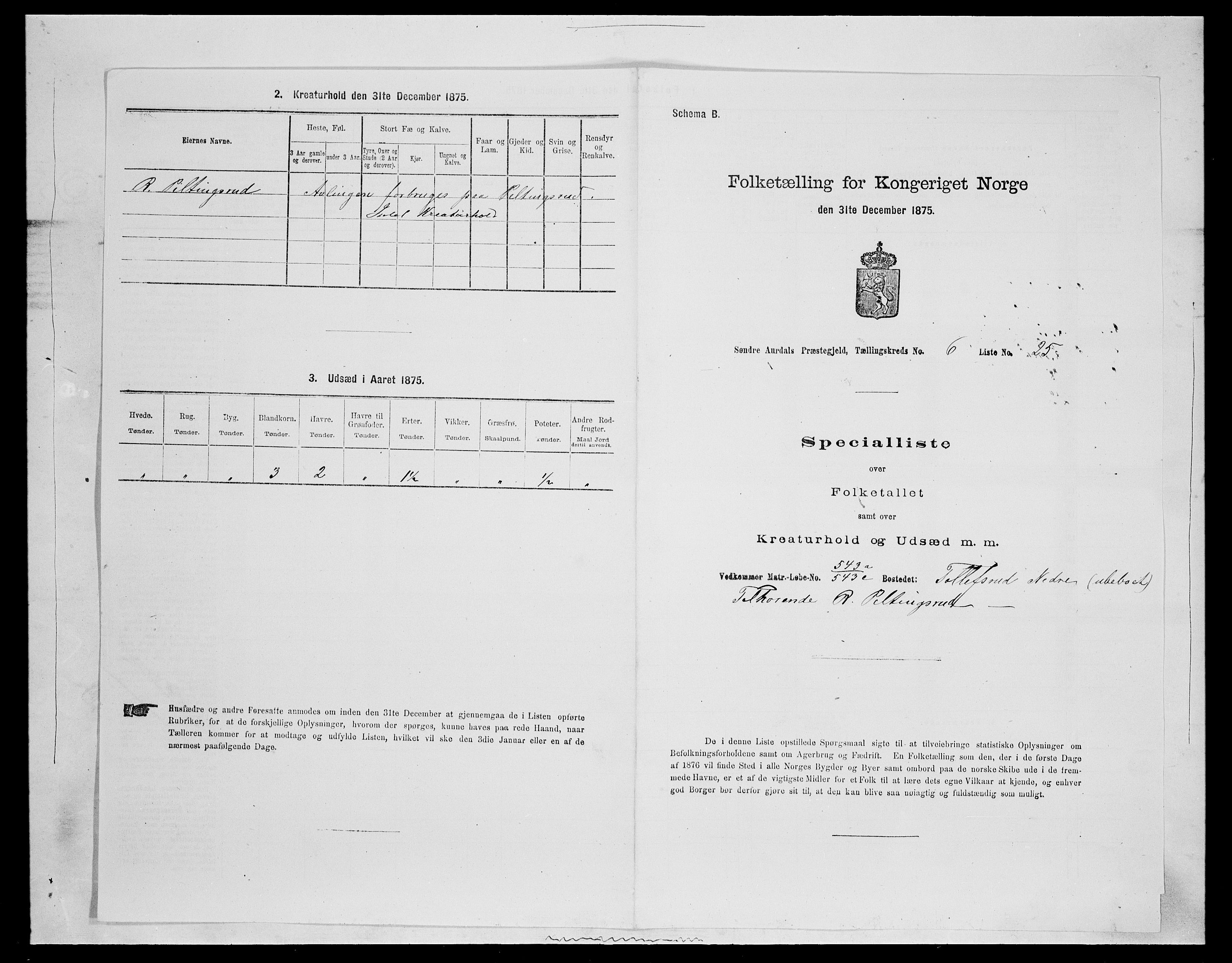 SAH, 1875 census for 0540P Sør-Aurdal, 1875, p. 1036