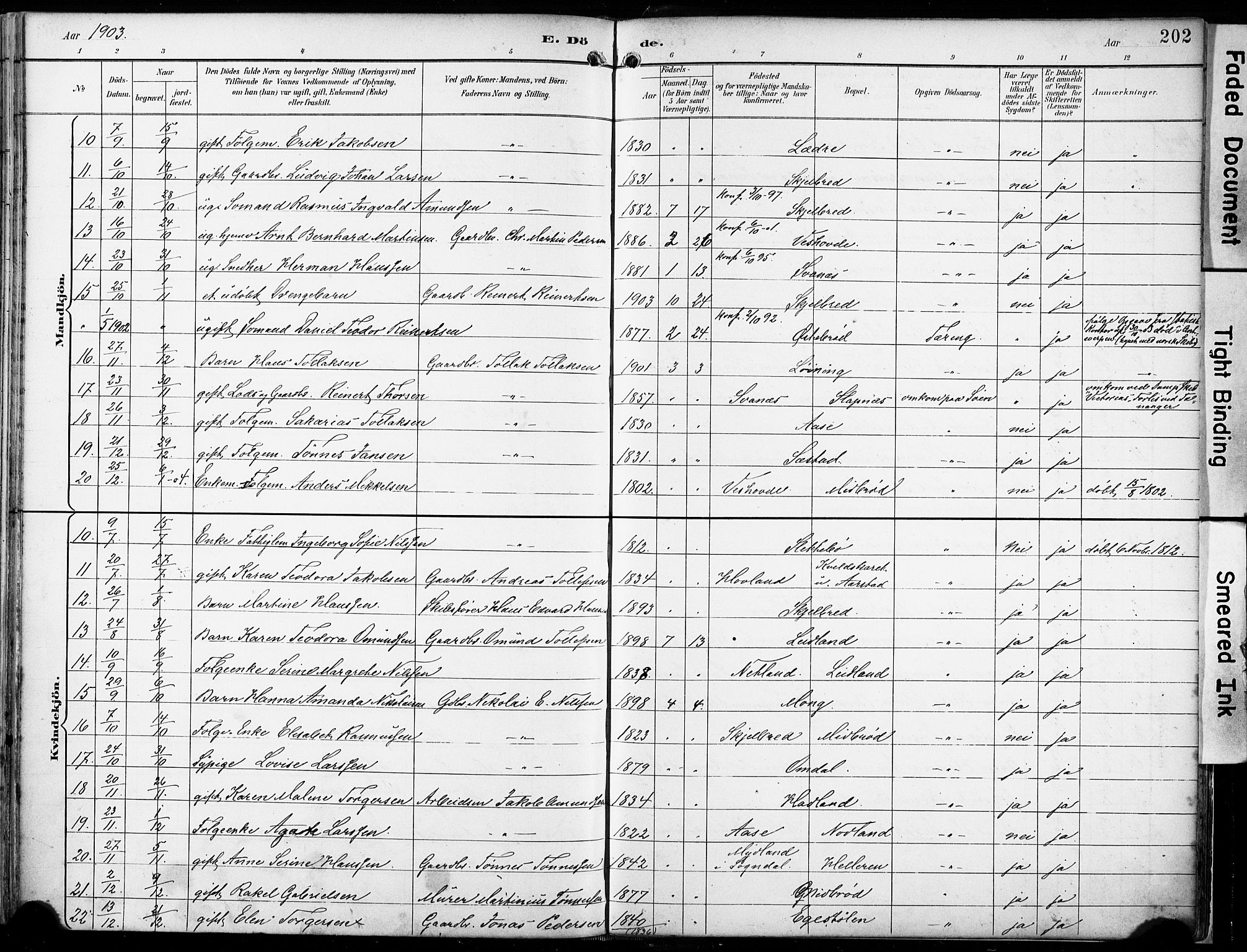 Eigersund sokneprestkontor, SAST/A-101807/S08/L0018: Parish register (official) no. A 17, 1892-1905, p. 202