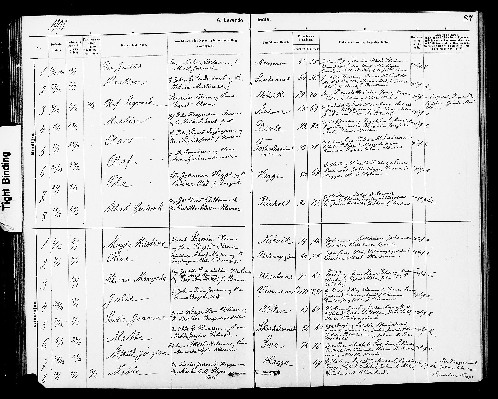 Ministerialprotokoller, klokkerbøker og fødselsregistre - Nord-Trøndelag, SAT/A-1458/712/L0103: Parish register (copy) no. 712C01, 1878-1917, p. 87