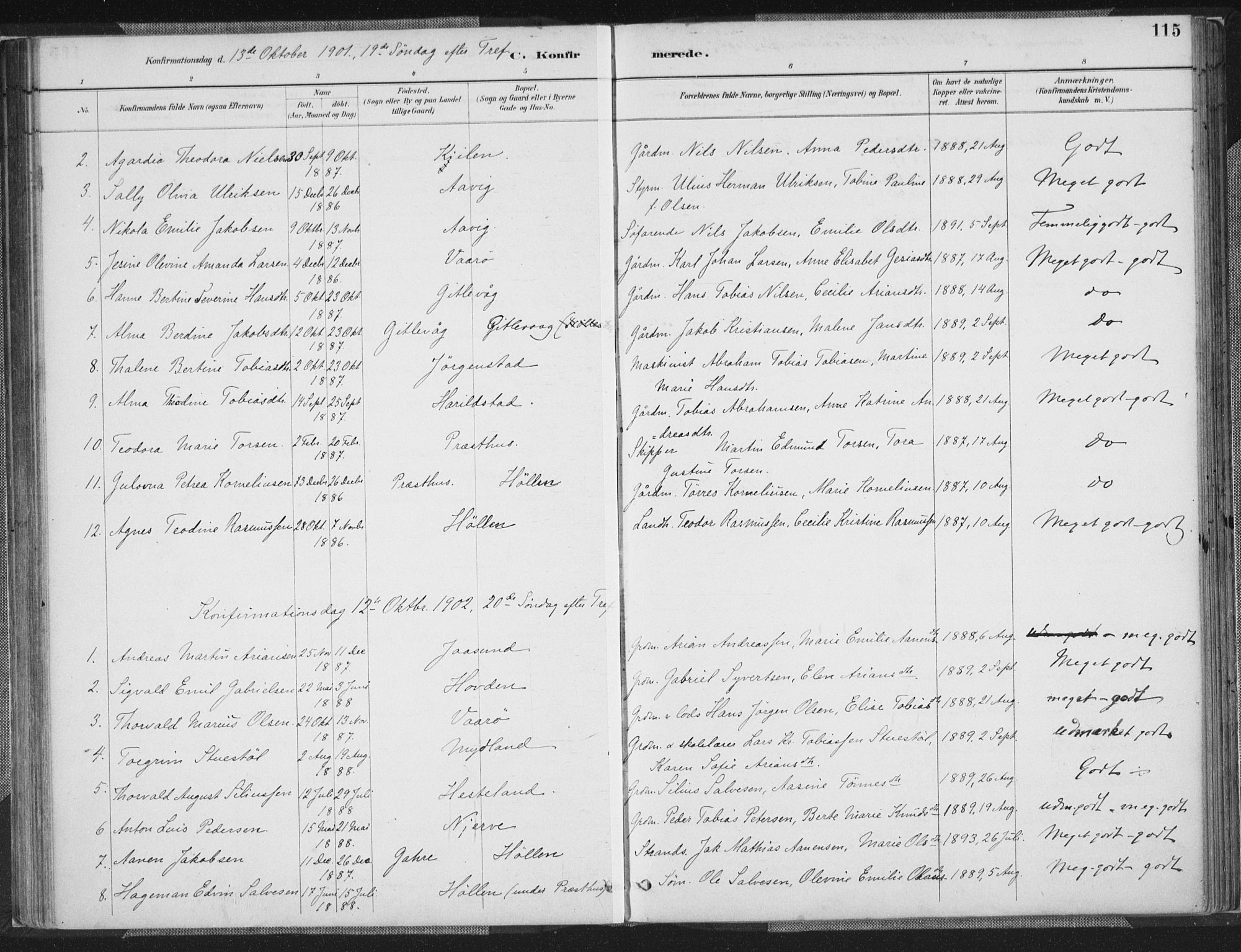 Sør-Audnedal sokneprestkontor, SAK/1111-0039/F/Fa/Faa/L0004: Parish register (official) no. A 4, 1884-1909, p. 115