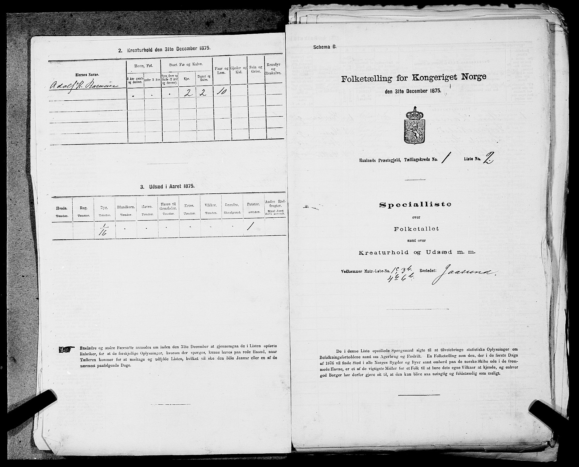 SAST, 1875 census for 1124P Håland, 1875, p. 55