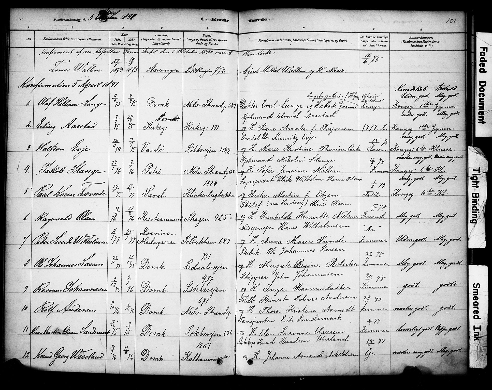 Domkirken sokneprestkontor, SAST/A-101812/001/30/30BA/L0028: Parish register (official) no. A 27, 1878-1896, p. 123