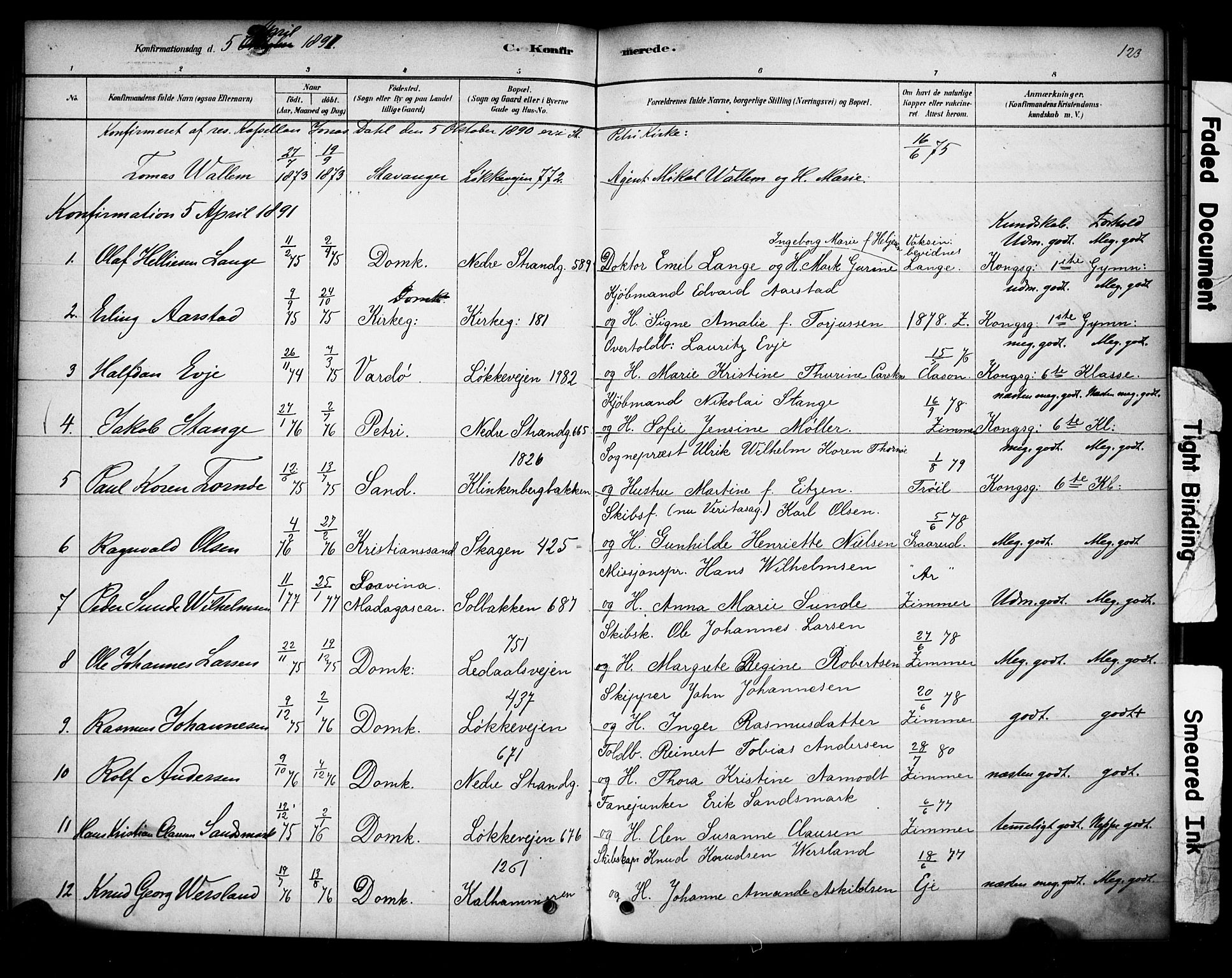 Domkirken sokneprestkontor, AV/SAST-A-101812/001/30/30BA/L0028: Parish register (official) no. A 27, 1878-1896, p. 123