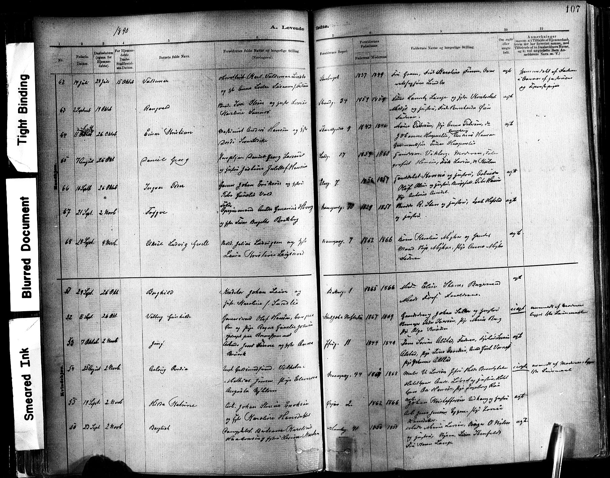 Ministerialprotokoller, klokkerbøker og fødselsregistre - Sør-Trøndelag, SAT/A-1456/602/L0119: Parish register (official) no. 602A17, 1880-1901, p. 107