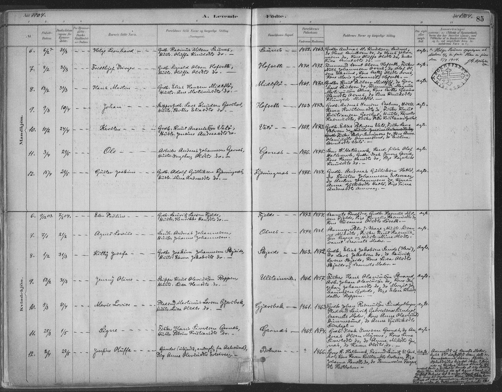 Ministerialprotokoller, klokkerbøker og fødselsregistre - Møre og Romsdal, AV/SAT-A-1454/509/L0106: Parish register (official) no. 509A04, 1883-1922, p. 85