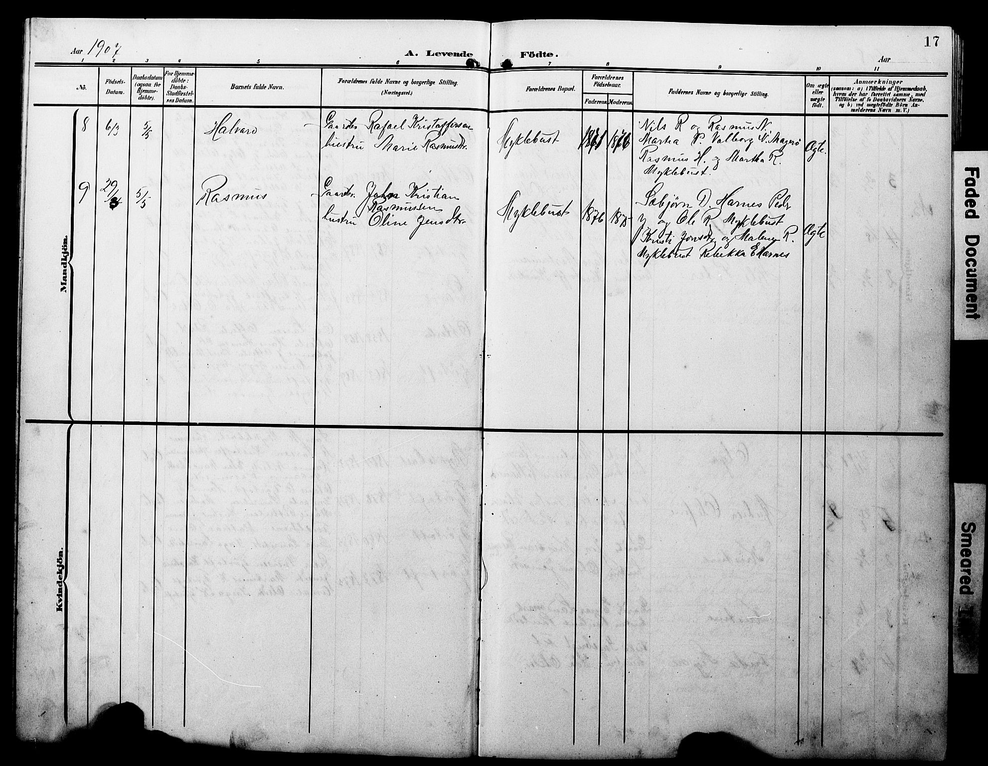 Ministerialprotokoller, klokkerbøker og fødselsregistre - Møre og Romsdal, AV/SAT-A-1454/538/L0524: Parish register (copy) no. 538C02, 1901-1931, p. 17