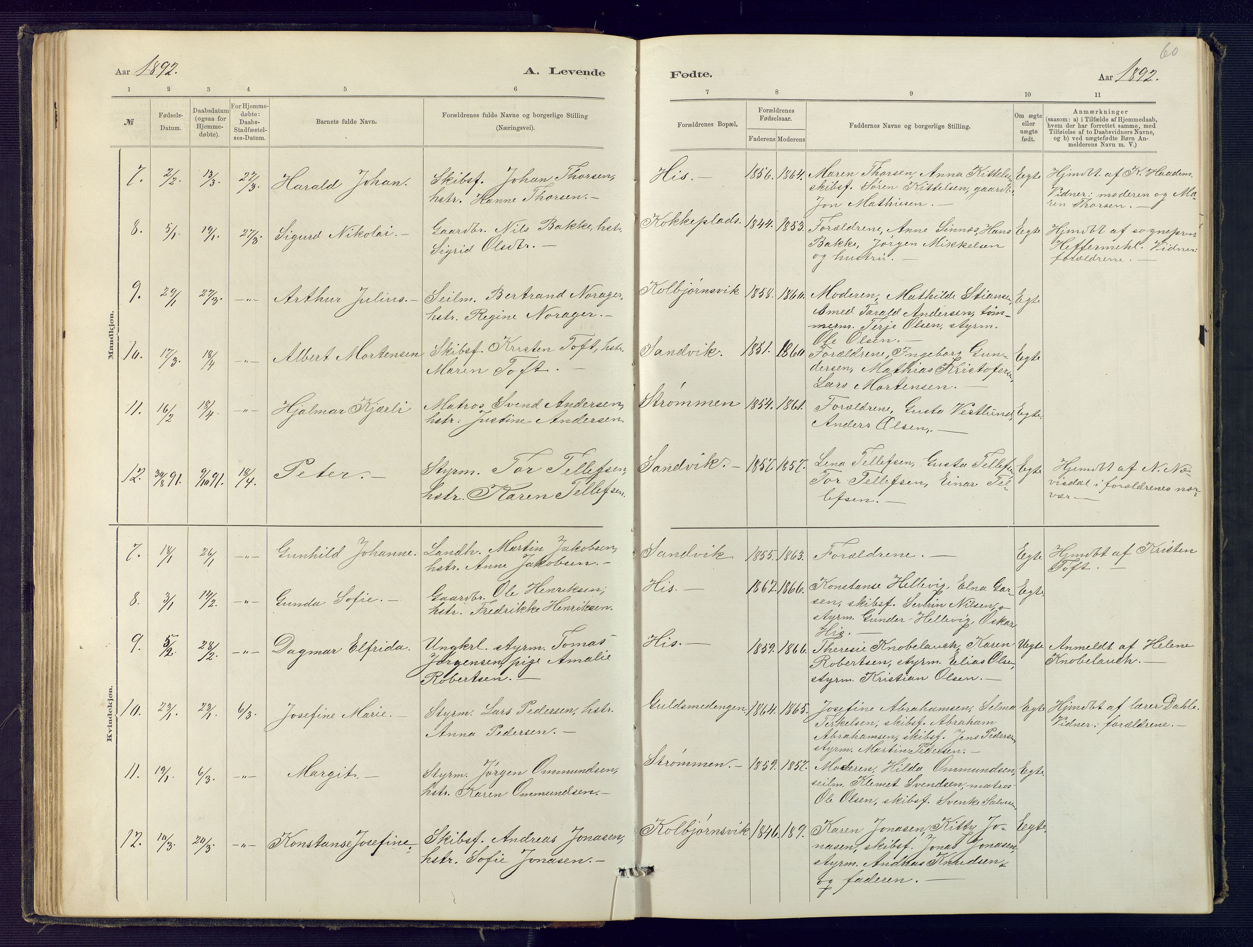 Hisøy sokneprestkontor, SAK/1111-0020/F/Fb/L0003: Parish register (copy) no. B 3, 1885-1905, p. 60