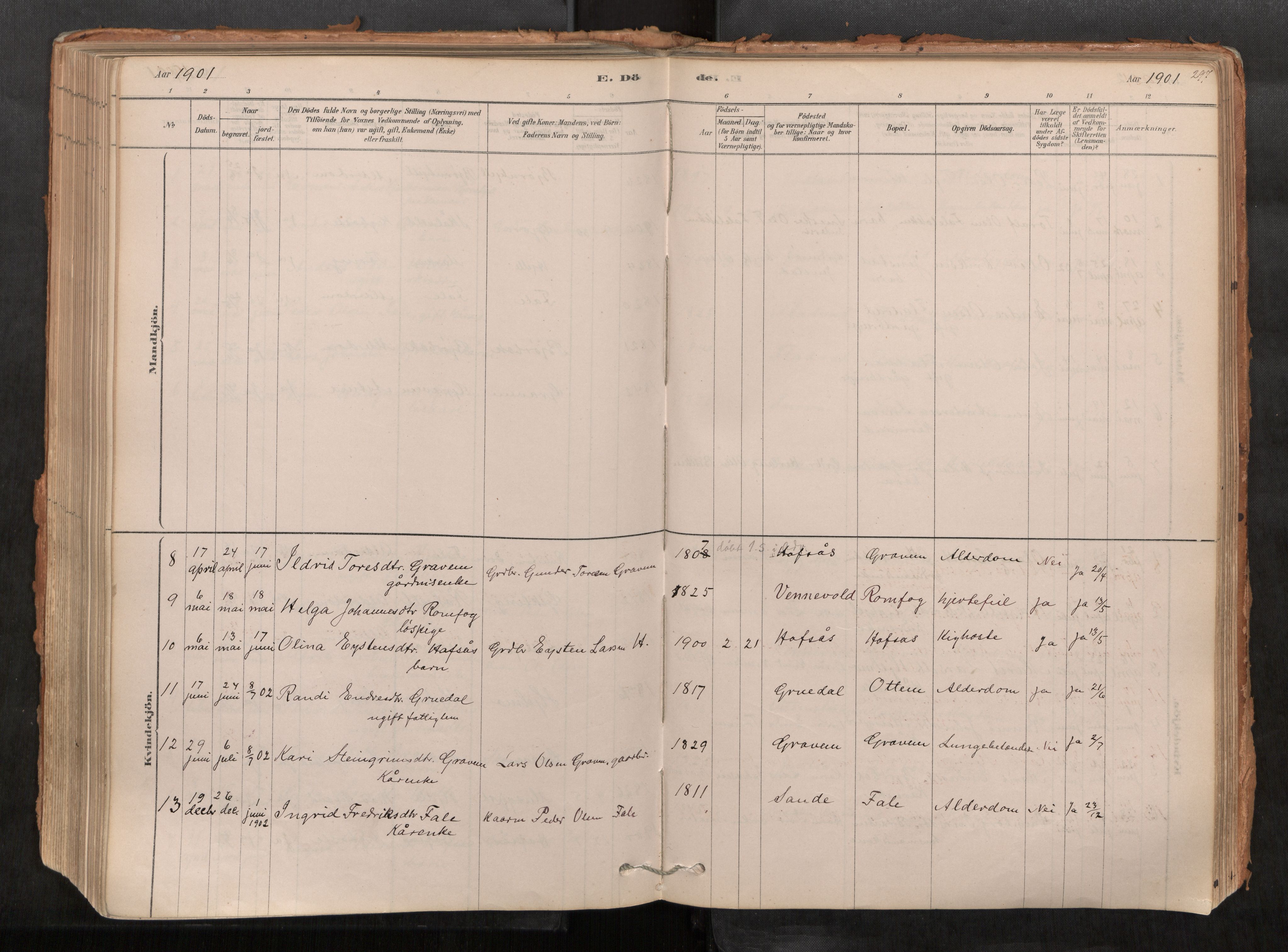 Sunndal sokneprestkontor, AV/SAT-A-1085/1/I/I1/I1a/L0001: Parish register (official) no. 1, 1877-1914, p. 297