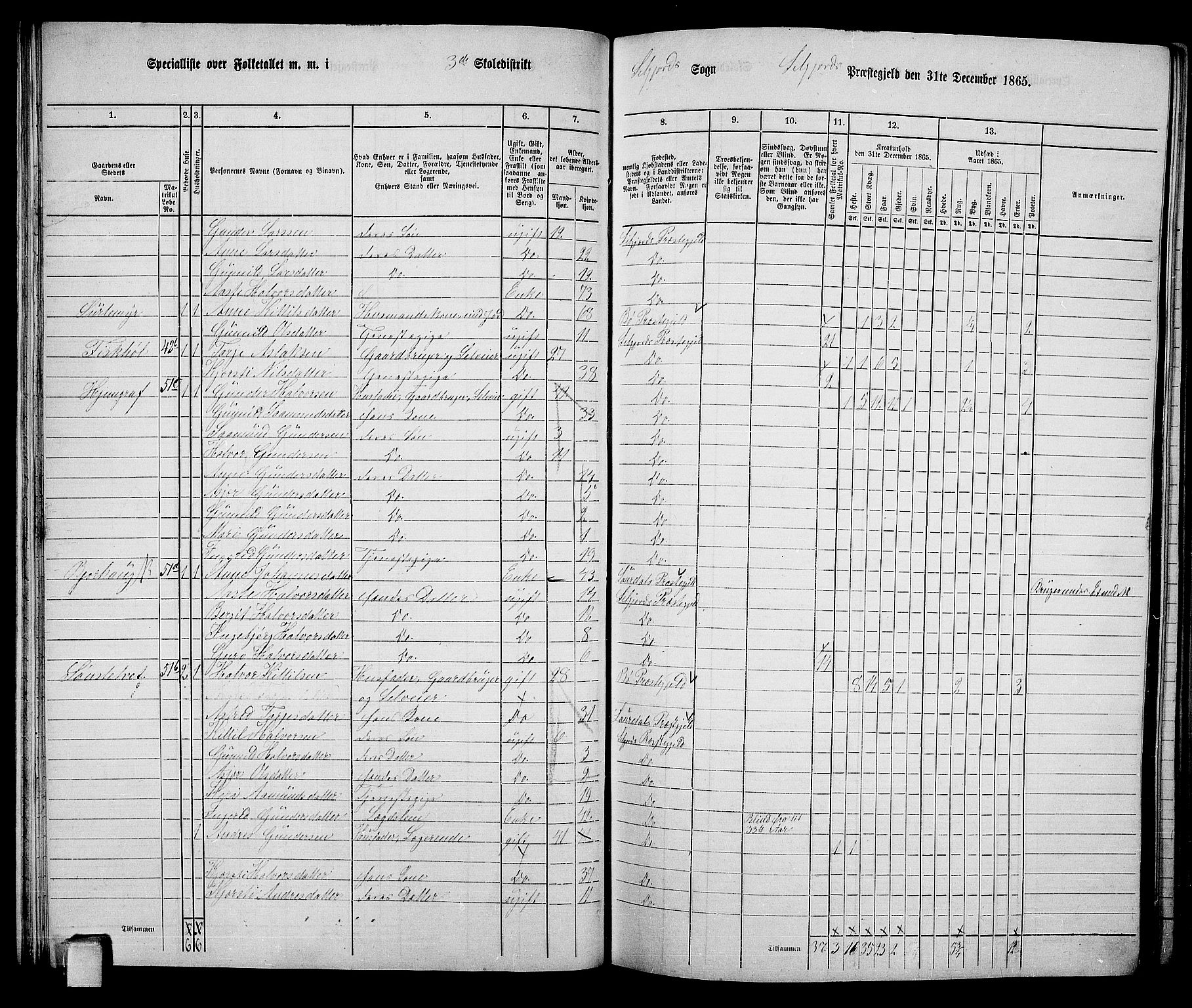 RA, 1865 census for Seljord, 1865, p. 50