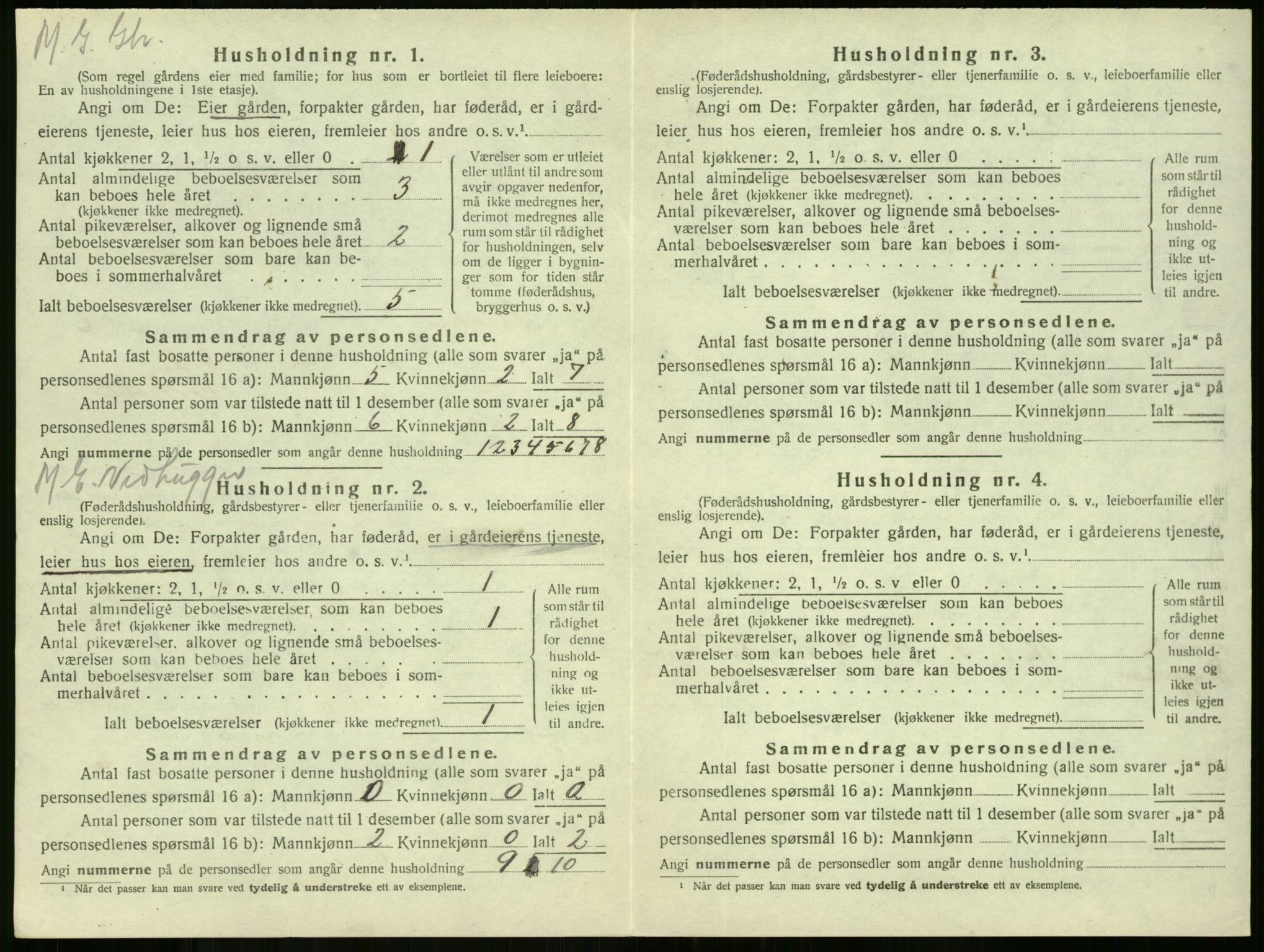 SAKO, 1920 census for Stokke, 1920, p. 1141