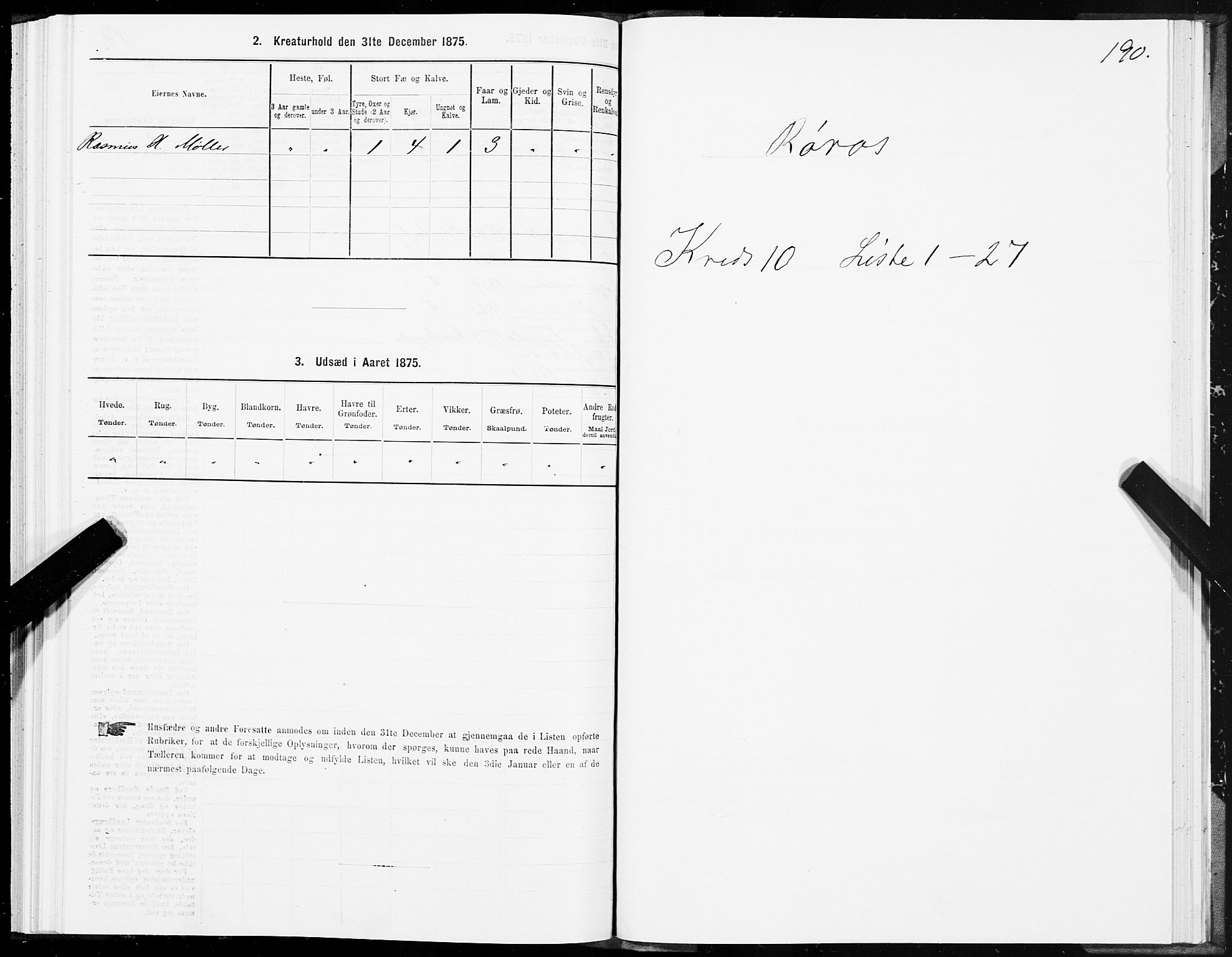 SAT, 1875 census for 1640P Røros, 1875, p. 5190