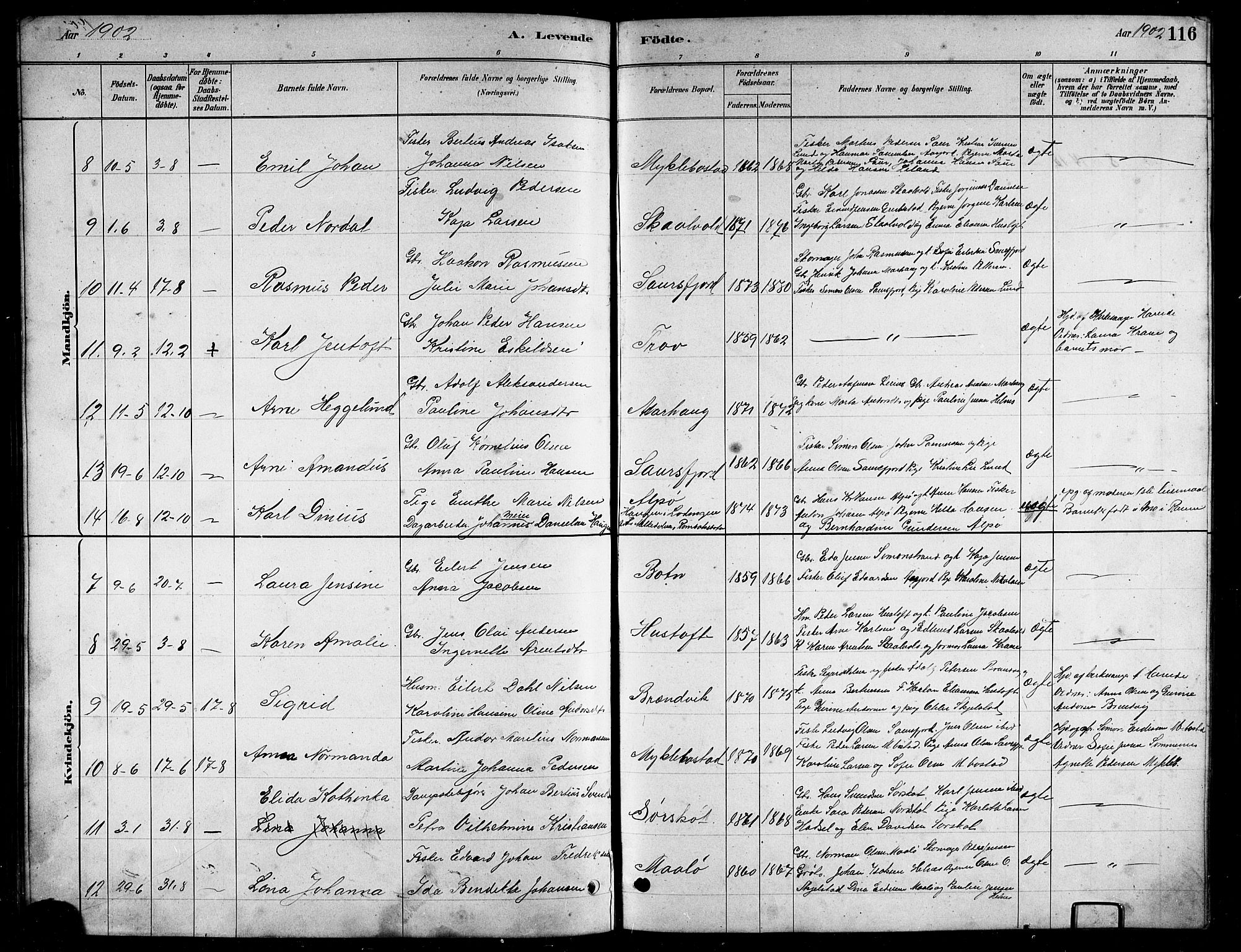 Ministerialprotokoller, klokkerbøker og fødselsregistre - Nordland, AV/SAT-A-1459/857/L0828: Parish register (copy) no. 857C03, 1879-1908, p. 116