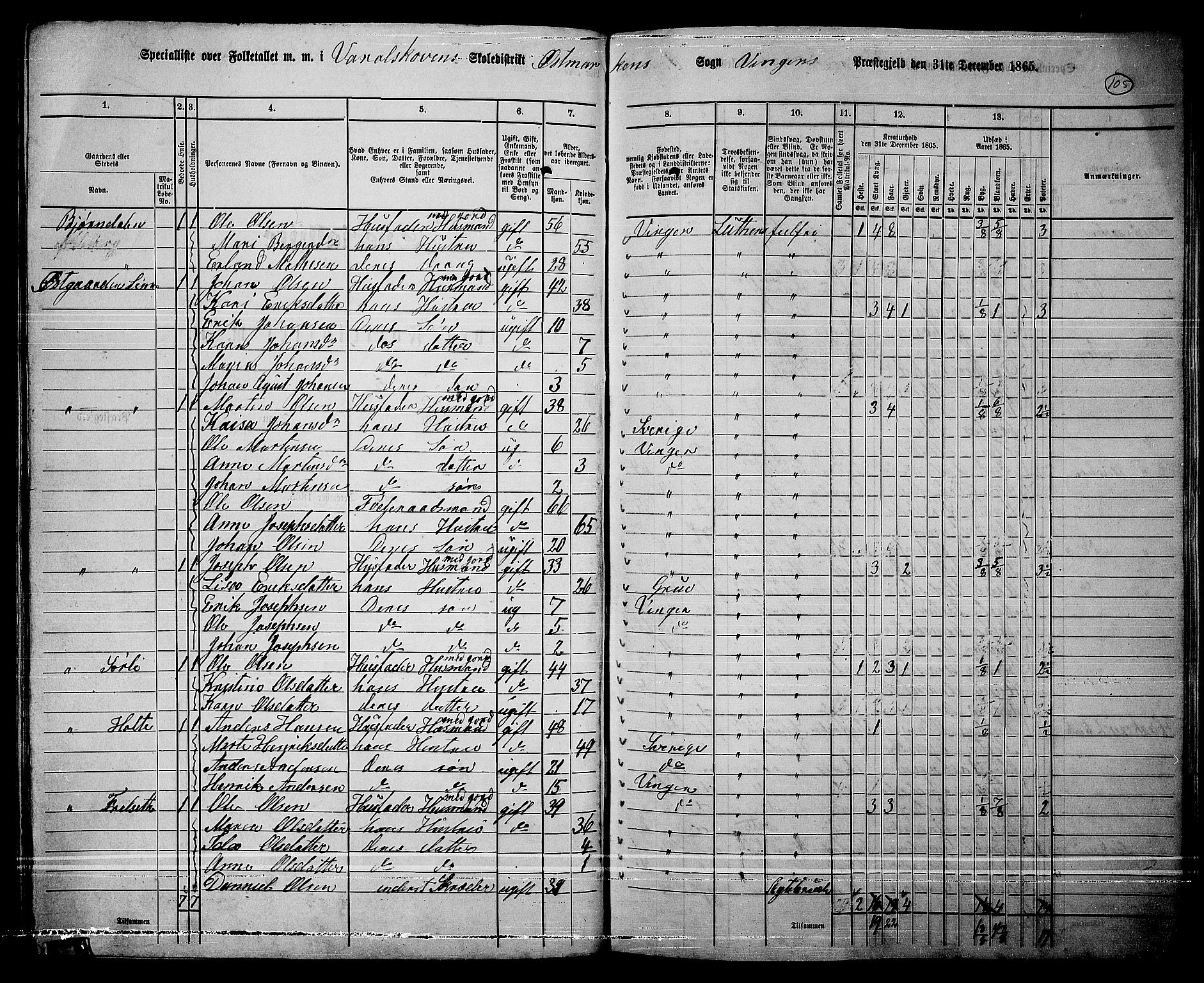 RA, 1865 census for Vinger/Vinger og Austmarka, 1865, p. 99