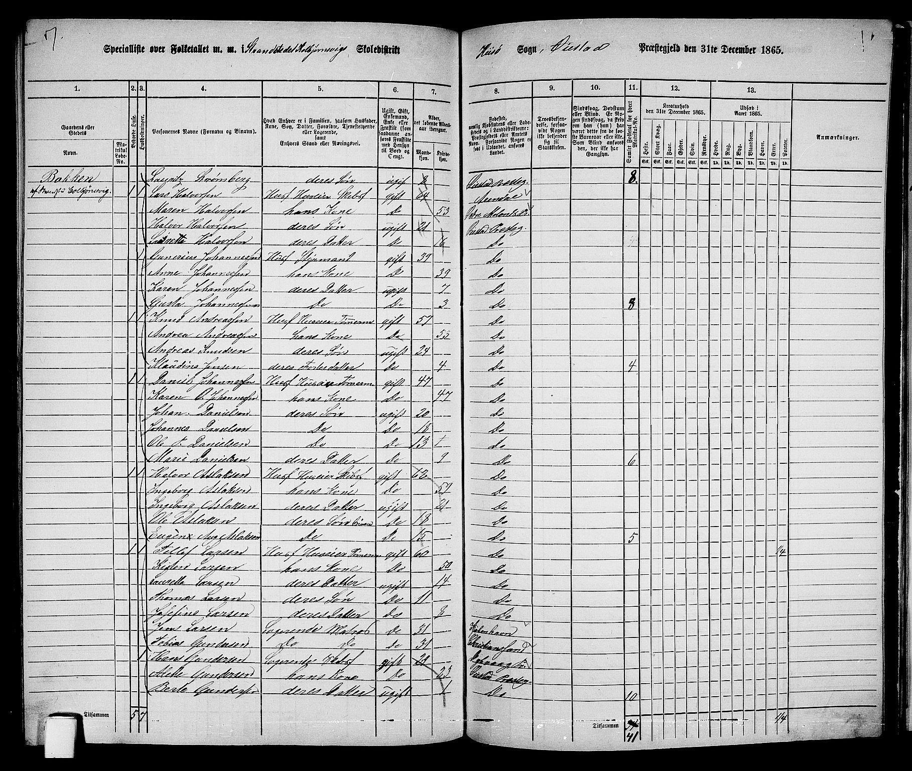 RA, 1865 census for Øyestad, 1865, p. 237