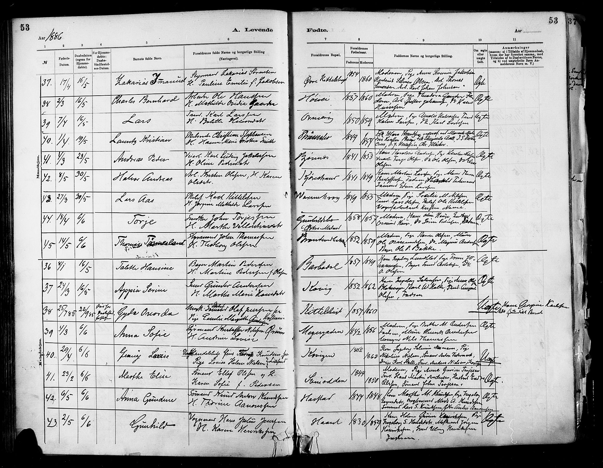Barbu sokneprestkontor, SAK/1111-0003/F/Fa/L0002: Parish register (official) no. A 2, 1883-1898, p. 53