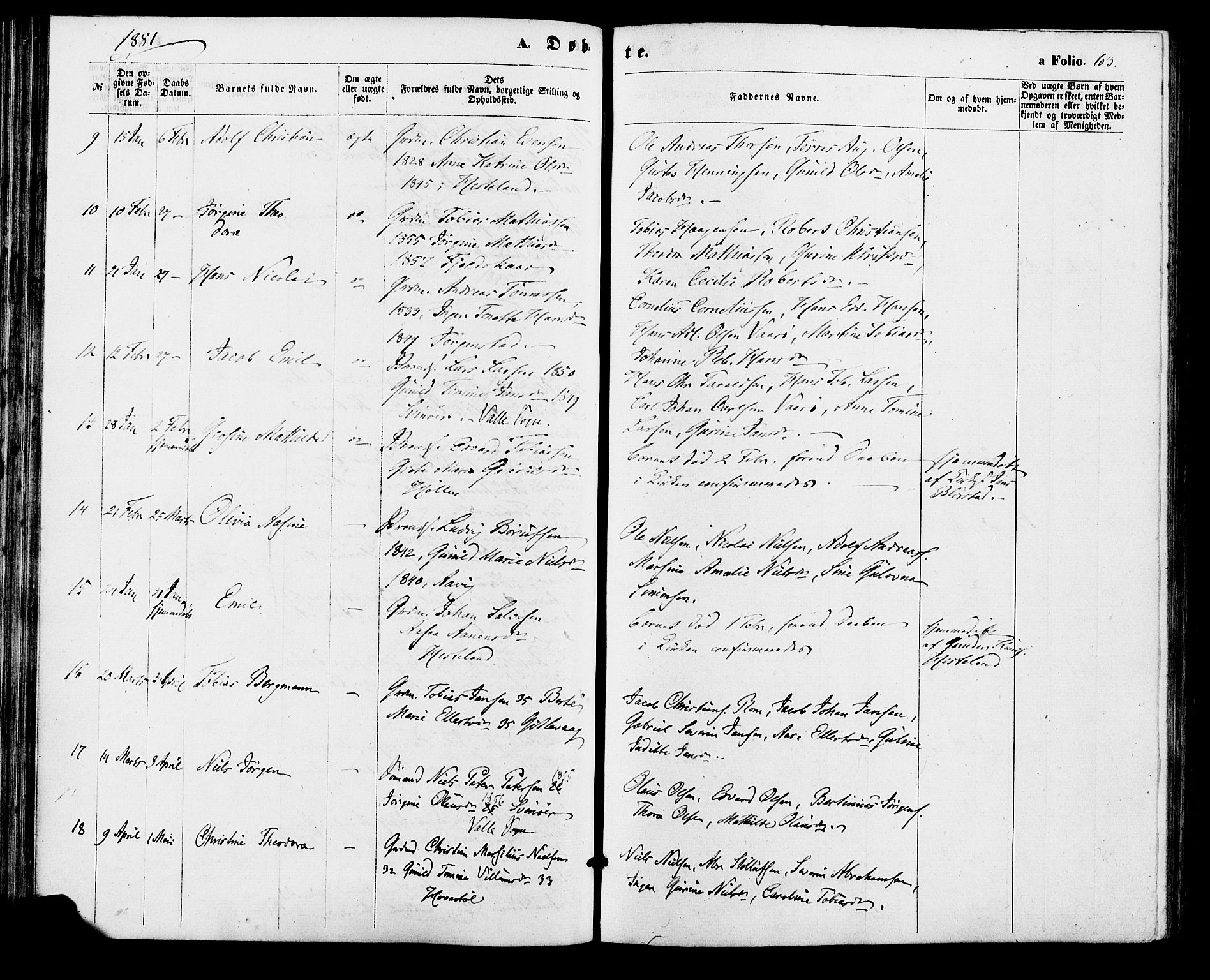 Sør-Audnedal sokneprestkontor, SAK/1111-0039/F/Fa/Faa/L0003: Parish register (official) no. A 3, 1868-1883, p. 63