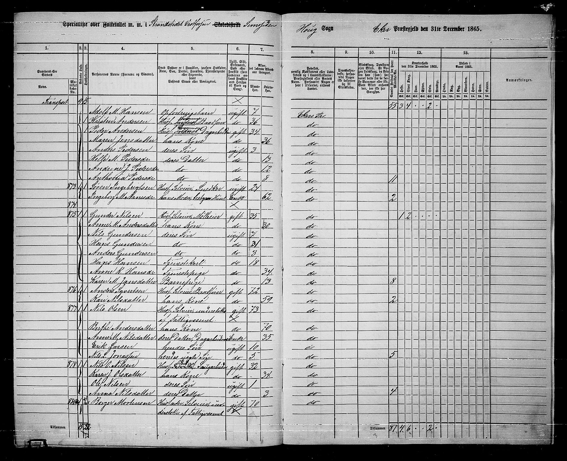 RA, 1865 census for Eiker, 1865, p. 256