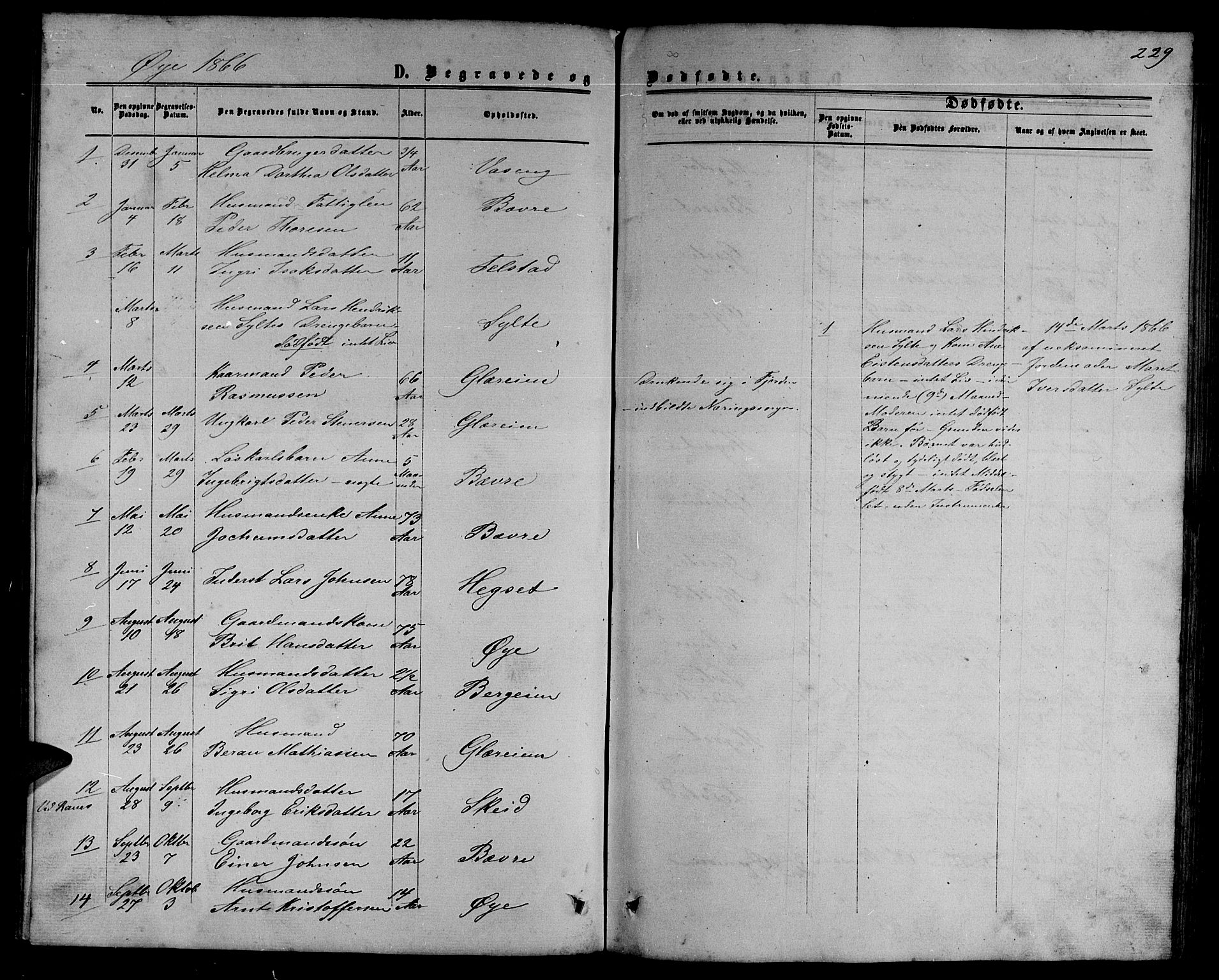 Ministerialprotokoller, klokkerbøker og fødselsregistre - Møre og Romsdal, SAT/A-1454/595/L1051: Parish register (copy) no. 595C03, 1866-1891, p. 229
