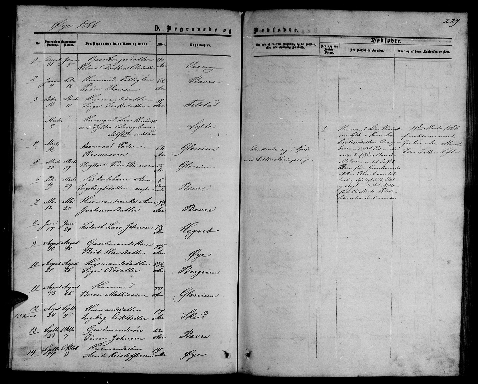 Ministerialprotokoller, klokkerbøker og fødselsregistre - Møre og Romsdal, AV/SAT-A-1454/595/L1051: Parish register (copy) no. 595C03, 1866-1891, p. 229