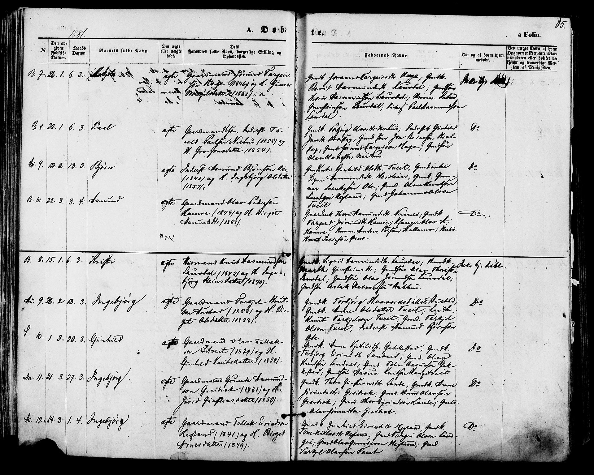 Bygland sokneprestkontor, AV/SAK-1111-0006/F/Fa/Fab/L0006: Parish register (official) no. A 6, 1873-1884, p. 65