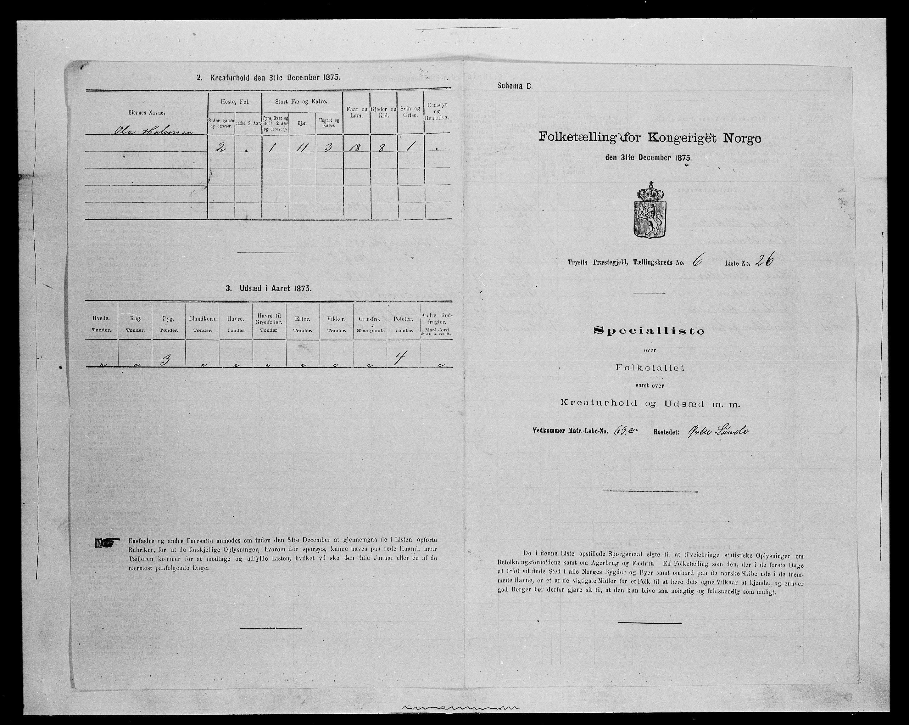 SAH, 1875 census for 0428P Trysil, 1875, p. 771