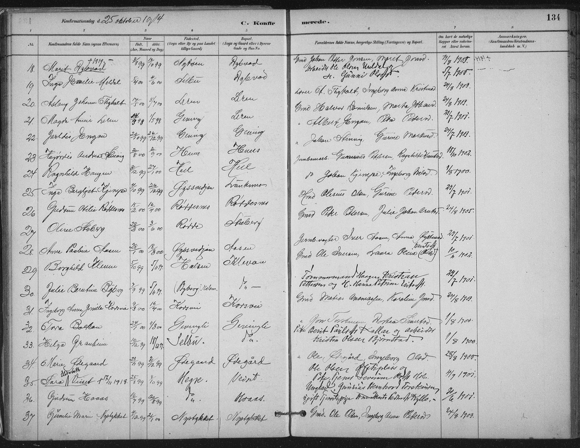 Ministerialprotokoller, klokkerbøker og fødselsregistre - Nord-Trøndelag, SAT/A-1458/710/L0095: Parish register (official) no. 710A01, 1880-1914, p. 134