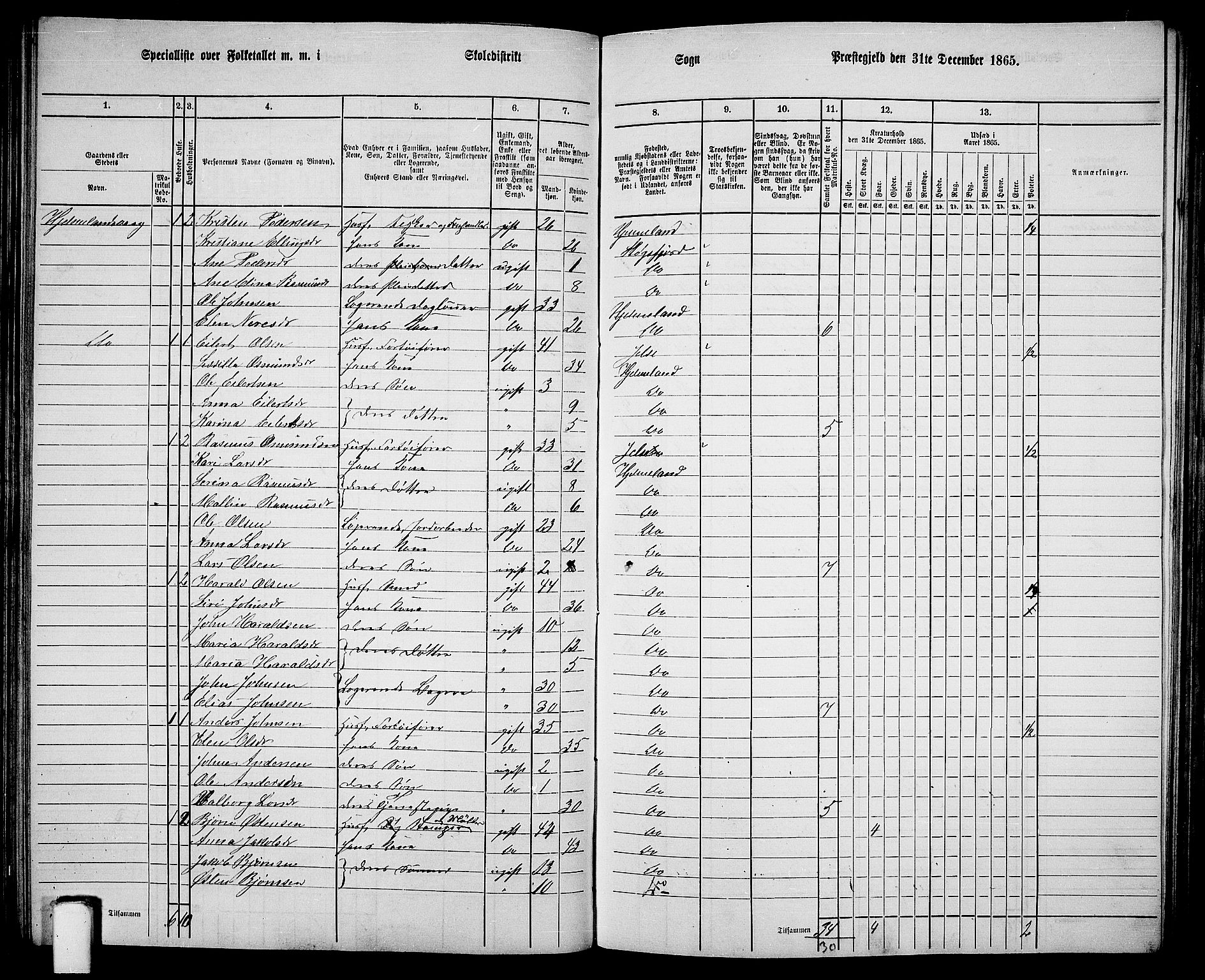 RA, 1865 census for Hjelmeland, 1865, p. 91