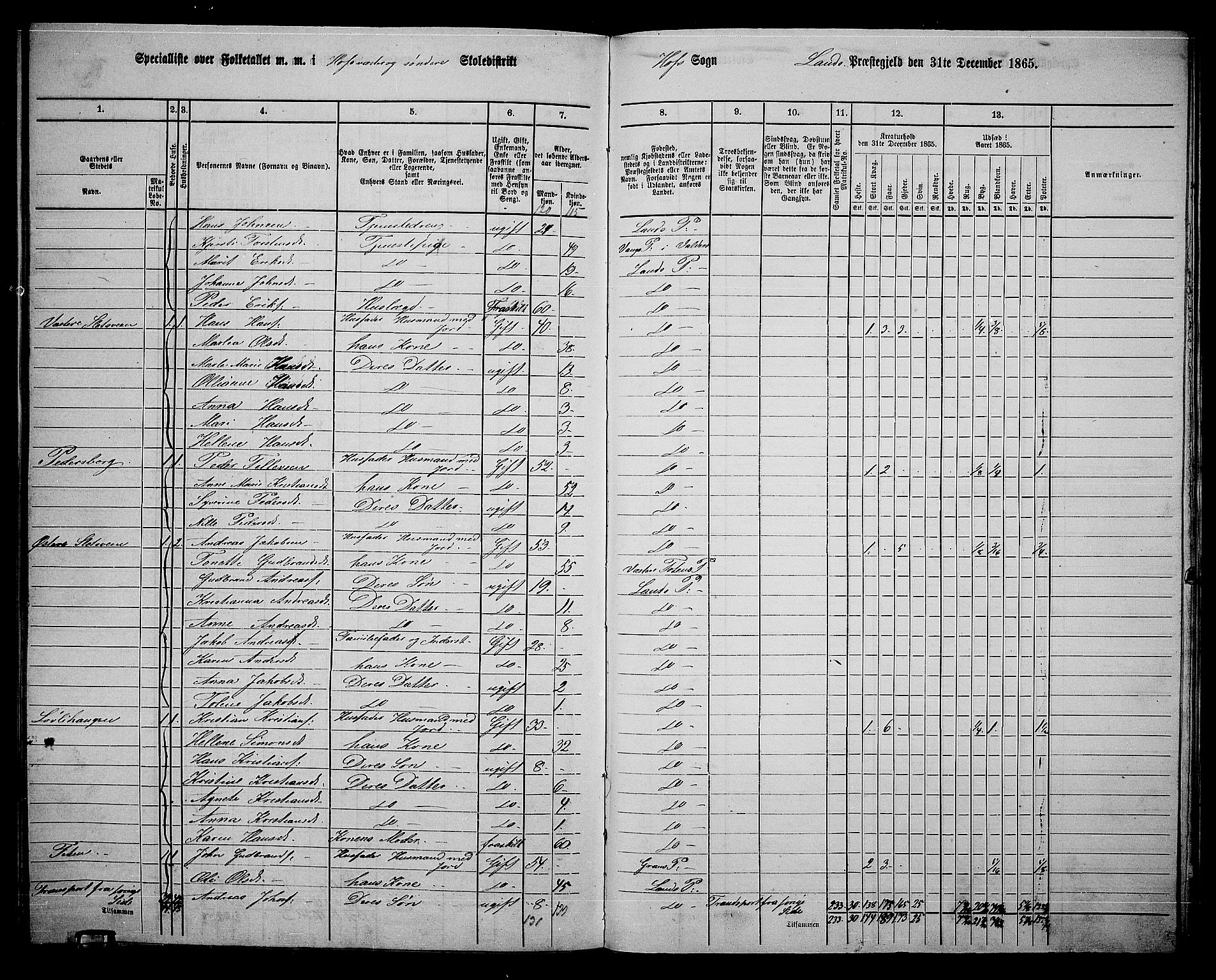 RA, 1865 census for Land, 1865, p. 399