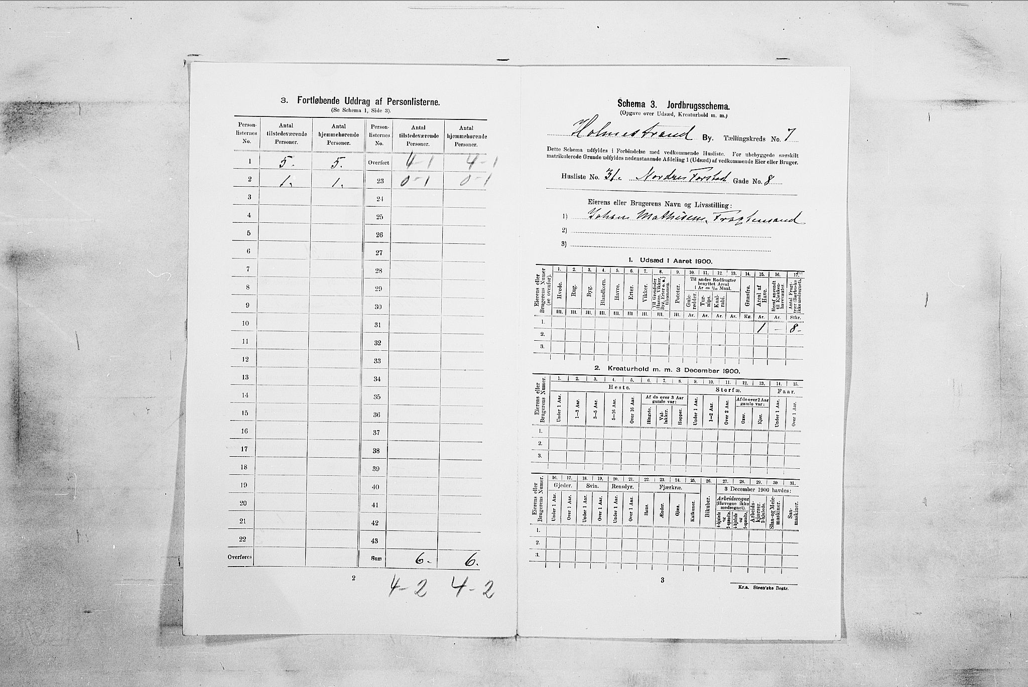 RA, 1900 census for Holmestrand, 1900, p. 1634