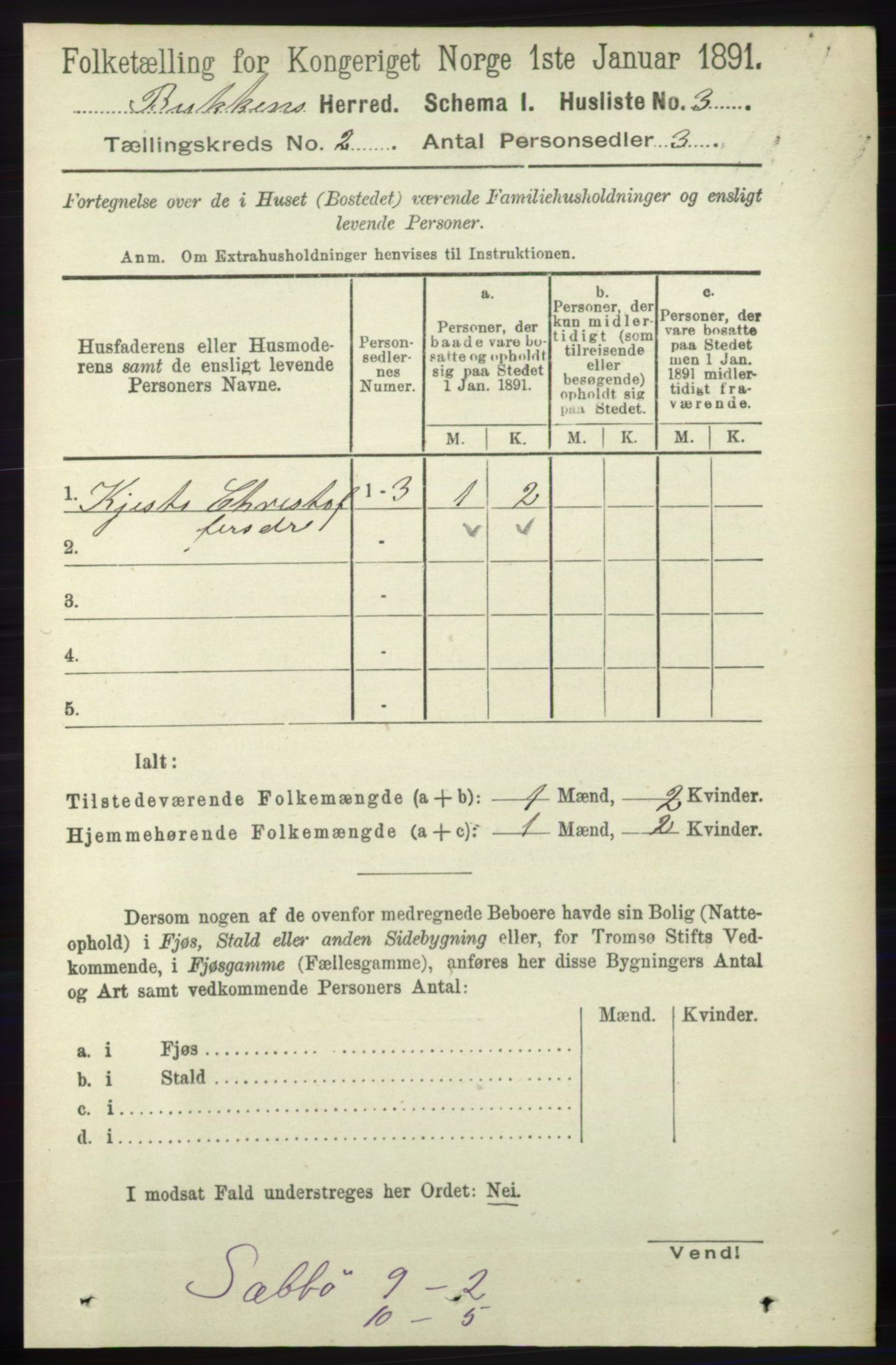 RA, 1891 census for 1145 Bokn, 1891, p. 299