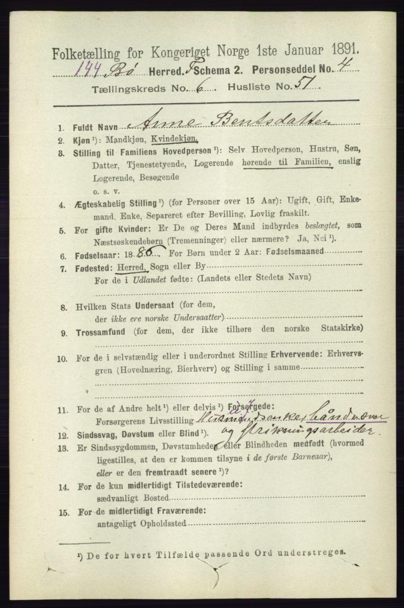 RA, 1891 census for 0821 Bø, 1891, p. 2135