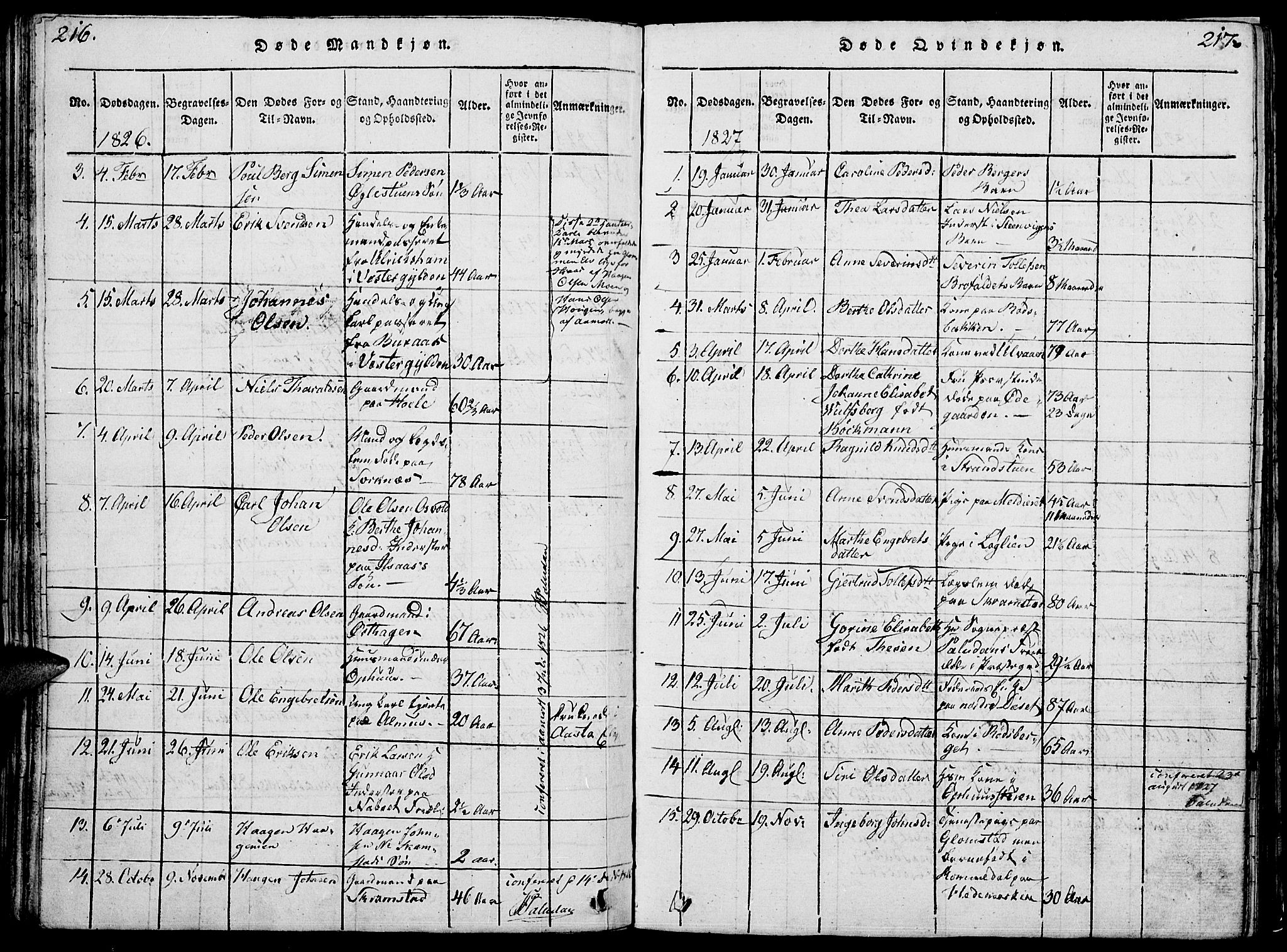 Åmot prestekontor, Hedmark, AV/SAH-PREST-056/H/Ha/Hab/L0001: Parish register (copy) no. 1, 1815-1847, p. 216-217