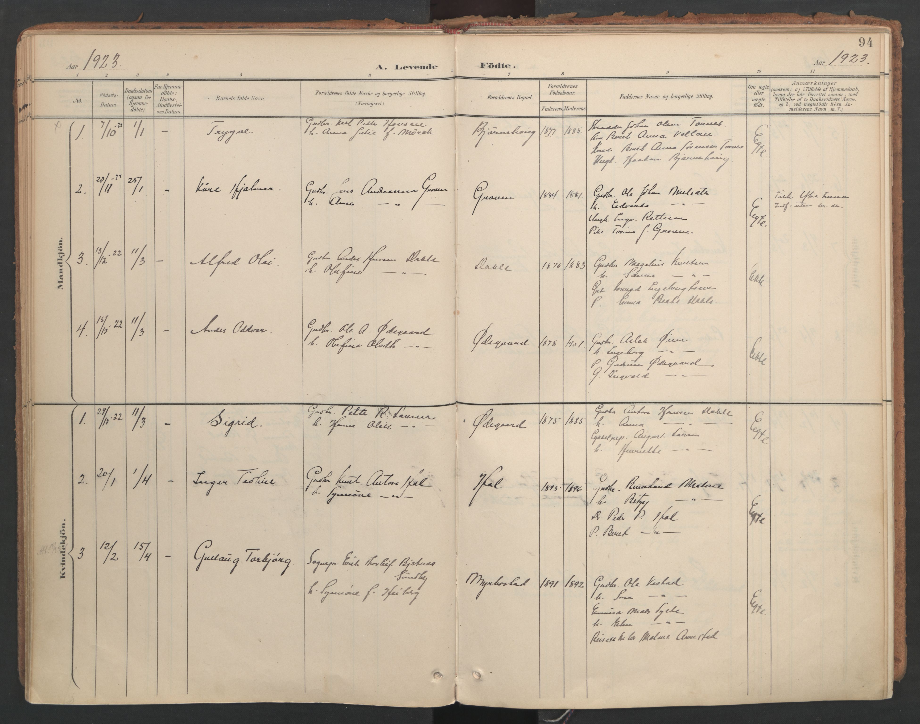Ministerialprotokoller, klokkerbøker og fødselsregistre - Møre og Romsdal, AV/SAT-A-1454/564/L0741: Parish register (official) no. 564A02, 1900-1976, p. 94