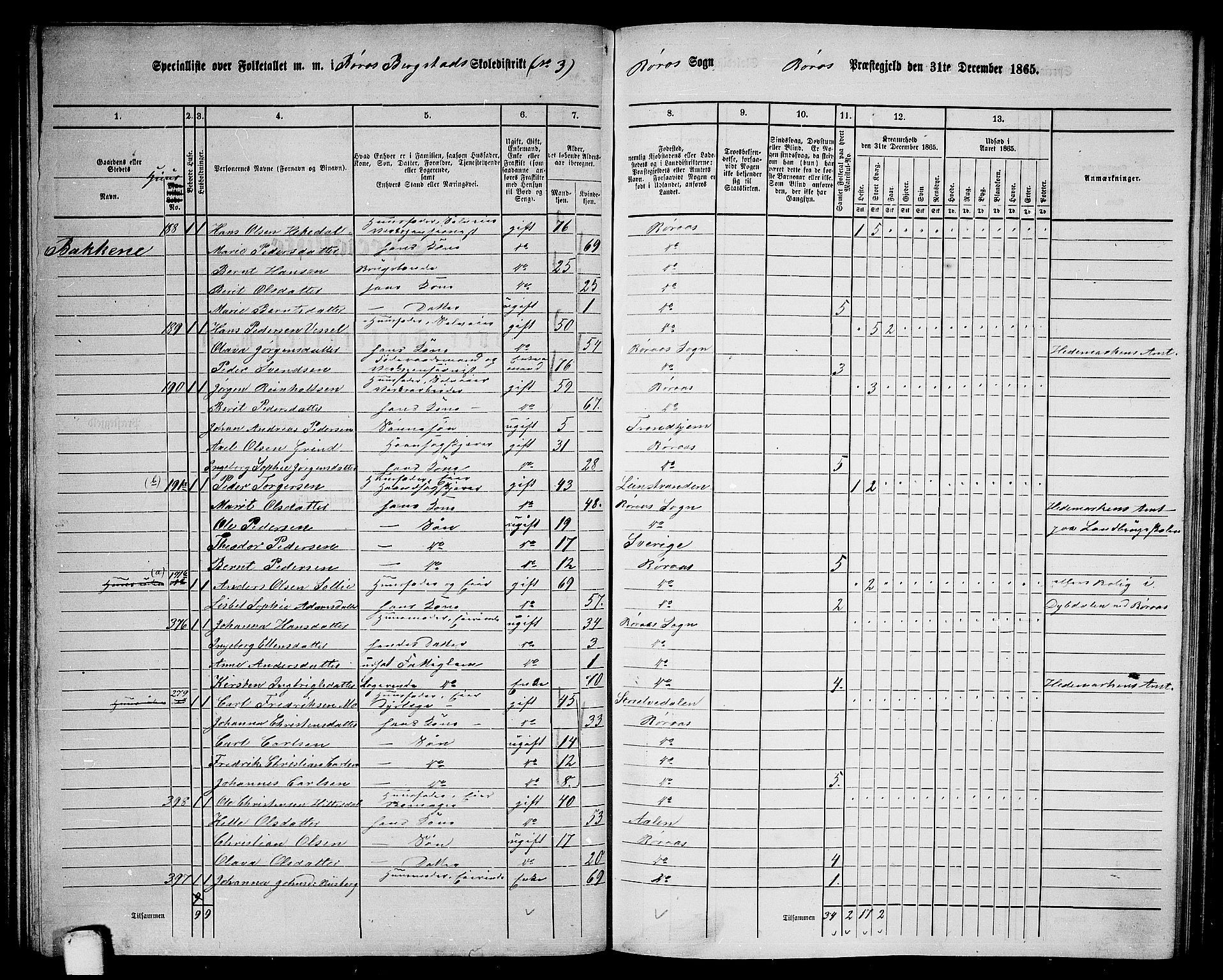 RA, 1865 census for Røros, 1865, p. 67