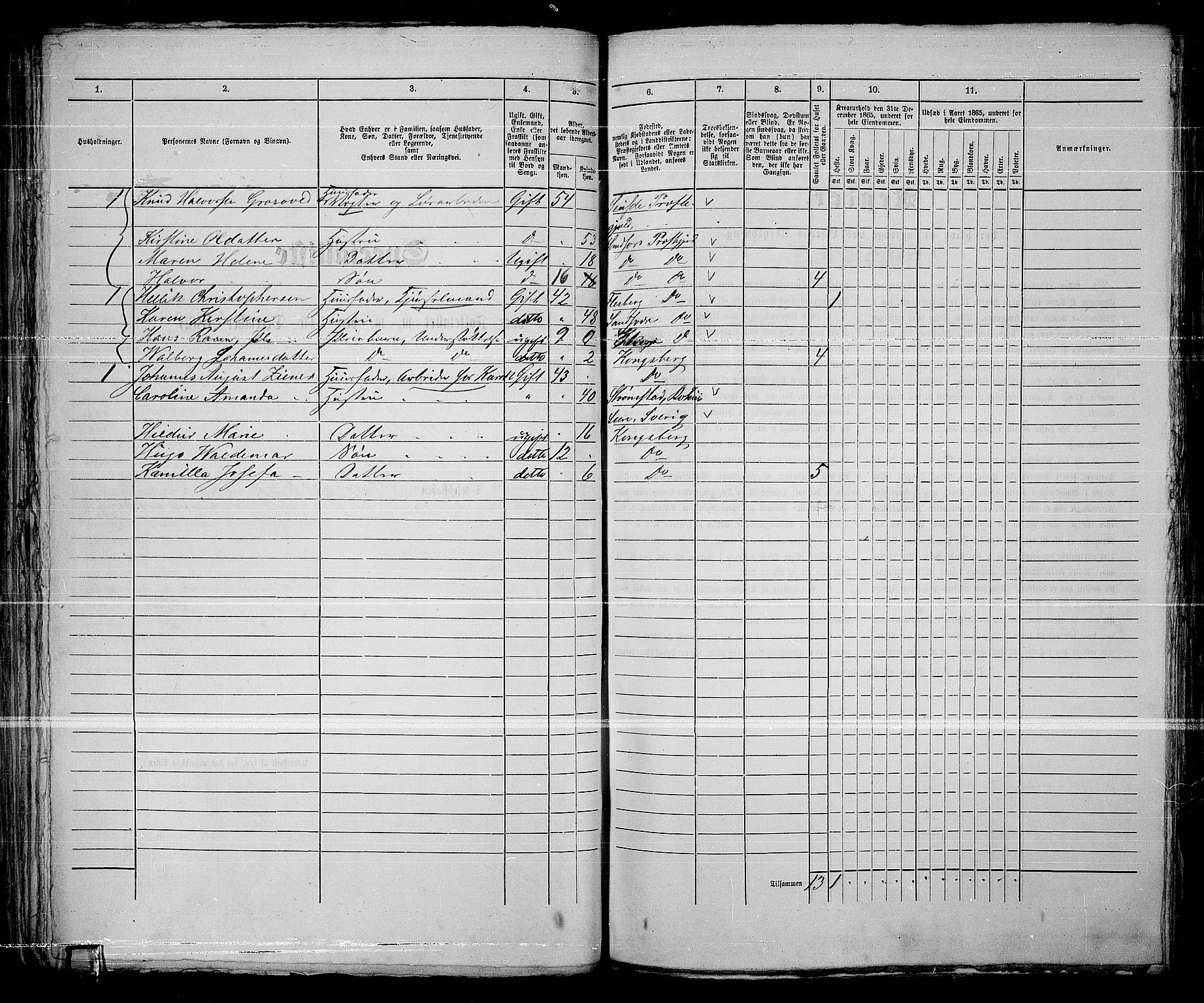 RA, 1865 census for Kongsberg/Kongsberg, 1865, p. 137