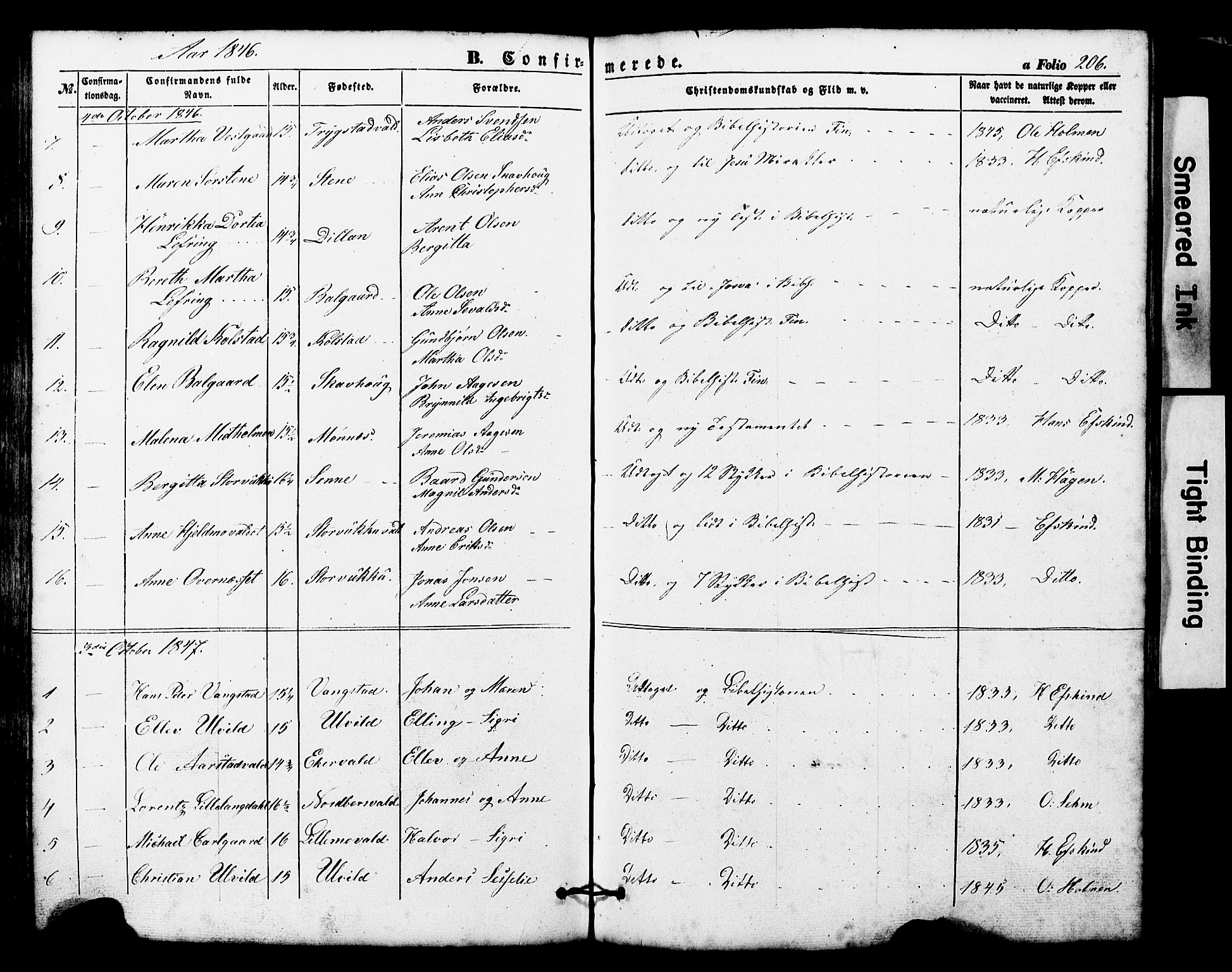 Ministerialprotokoller, klokkerbøker og fødselsregistre - Nord-Trøndelag, SAT/A-1458/724/L0268: Parish register (copy) no. 724C04, 1846-1878, p. 206