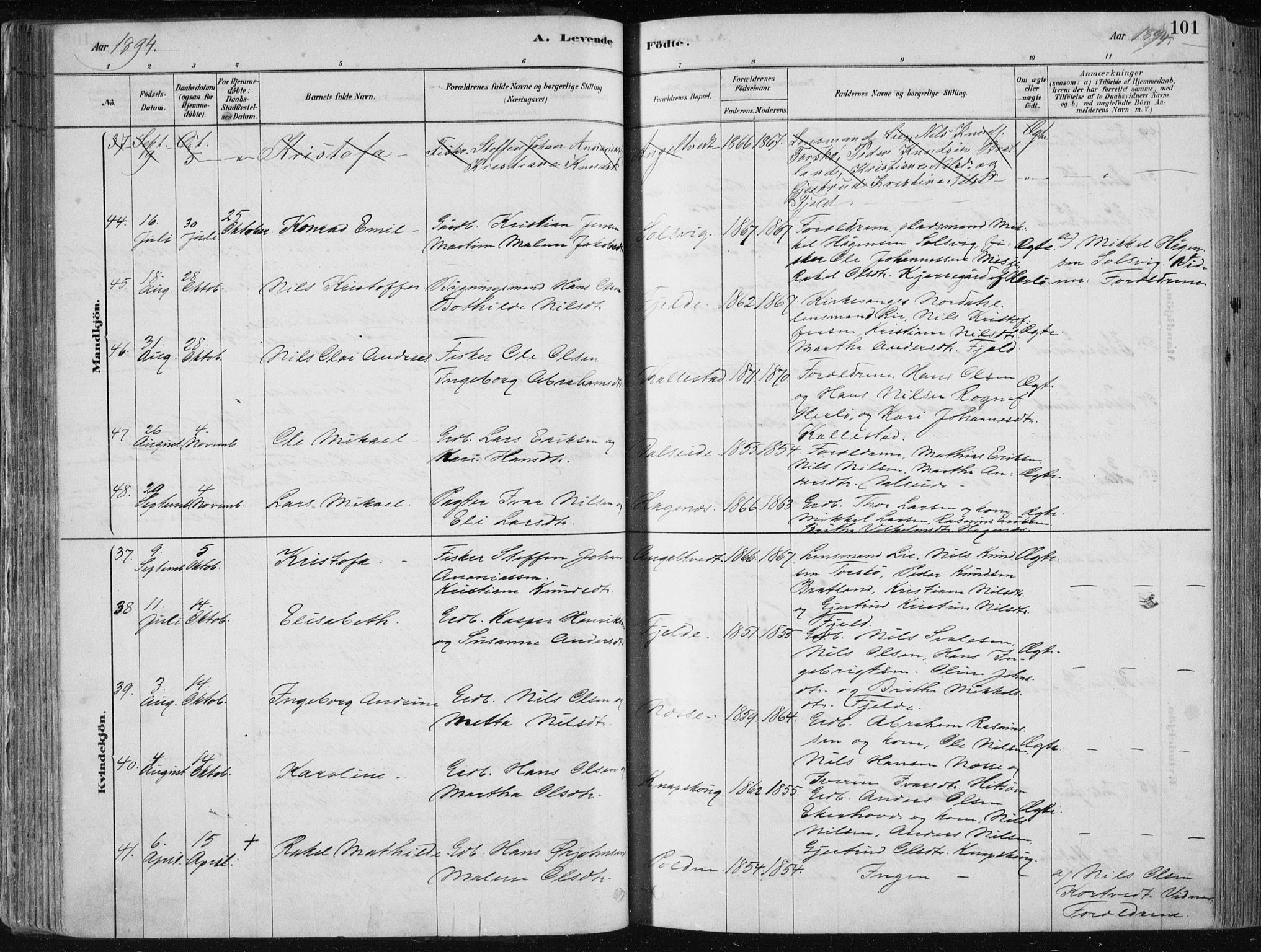 Fjell sokneprestembete, SAB/A-75301/H/Haa: Parish register (official) no. A  8, 1878-1898, p. 101