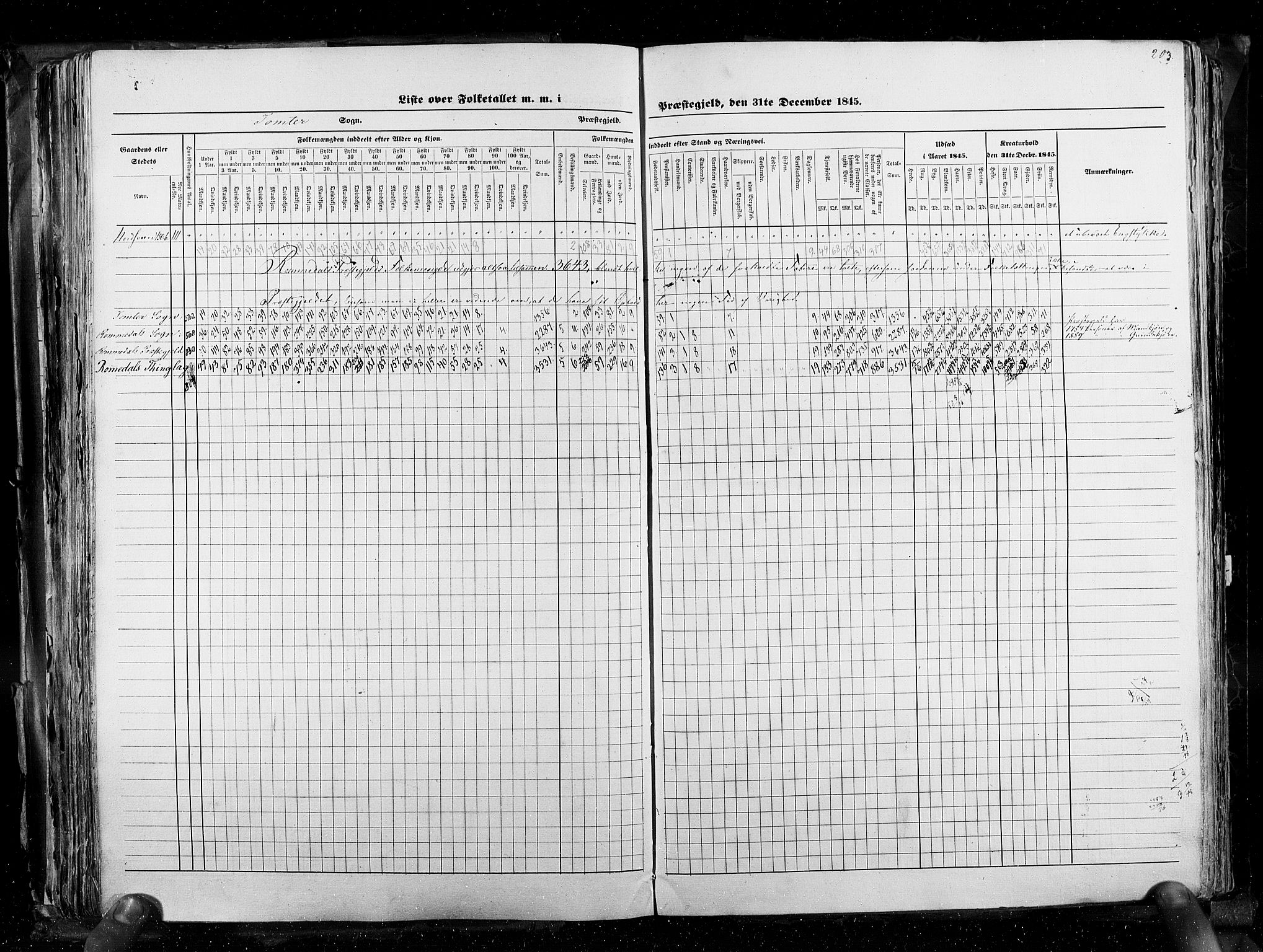 RA, Census 1845, vol. 3: Hedemarken amt og Kristians amt, 1845, p. 203